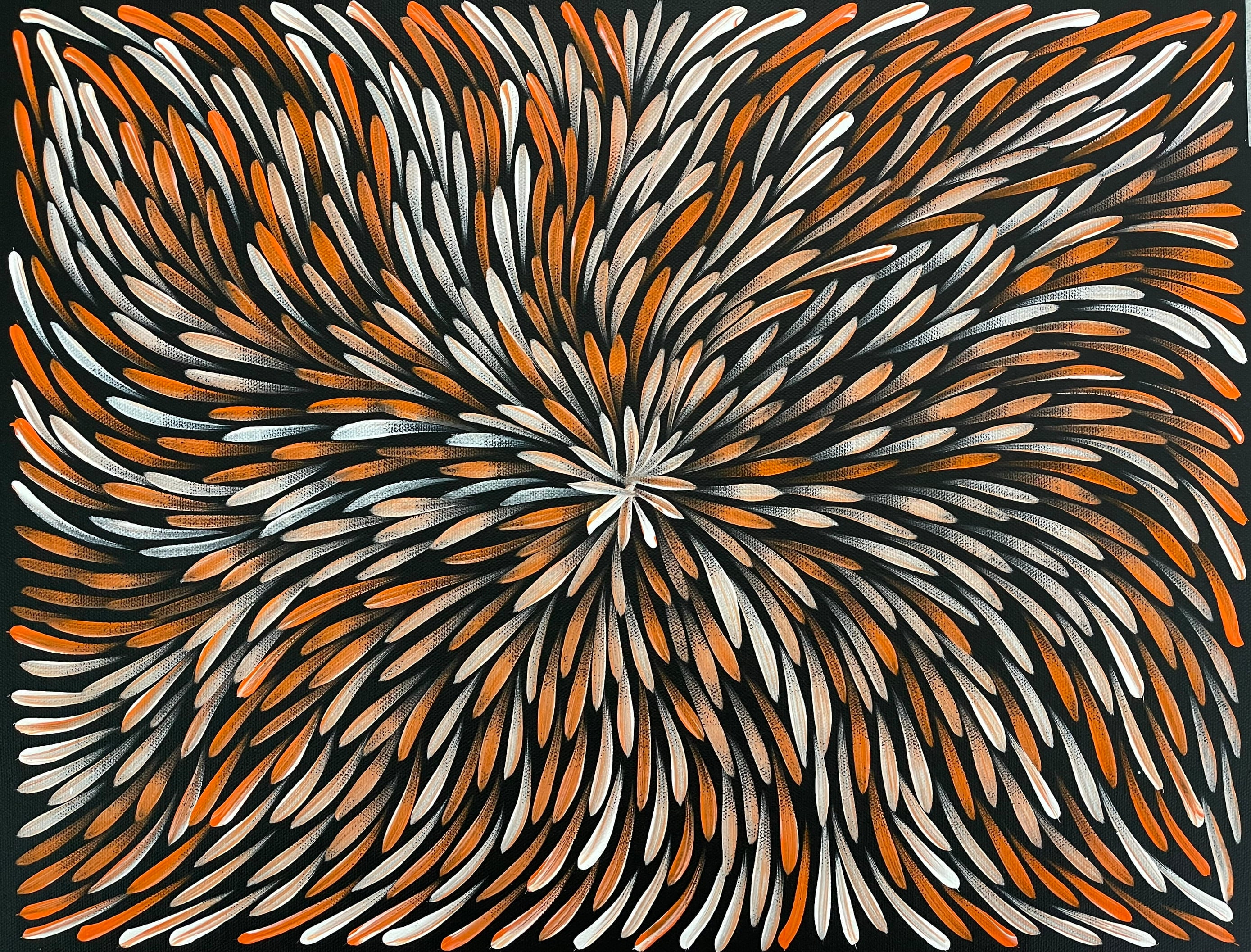 Sharon Numina - Bush Medicine Leaves- 33x42cm .63-12