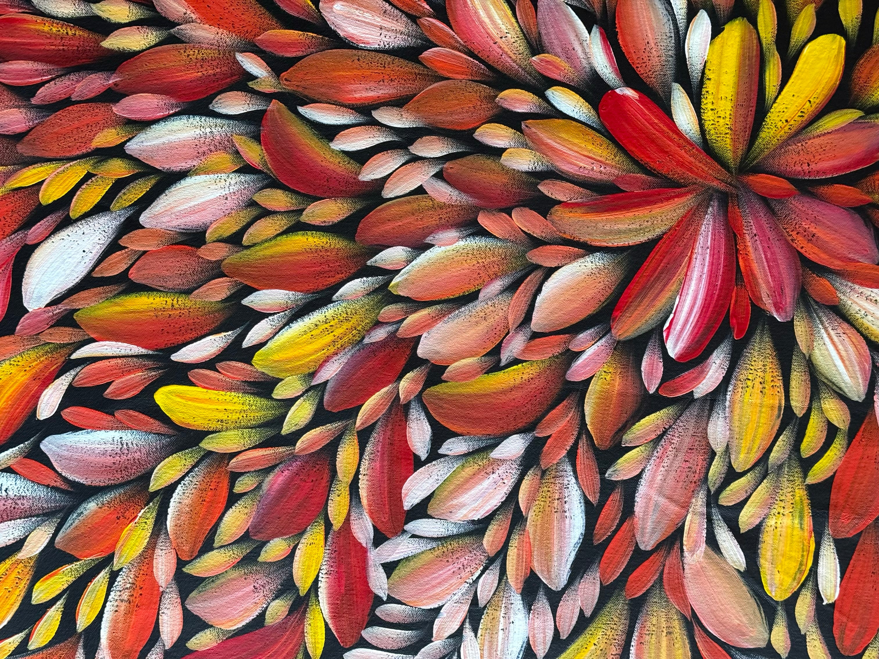 Louise Numina Napananka - Bush Medicine Leaves .49-9