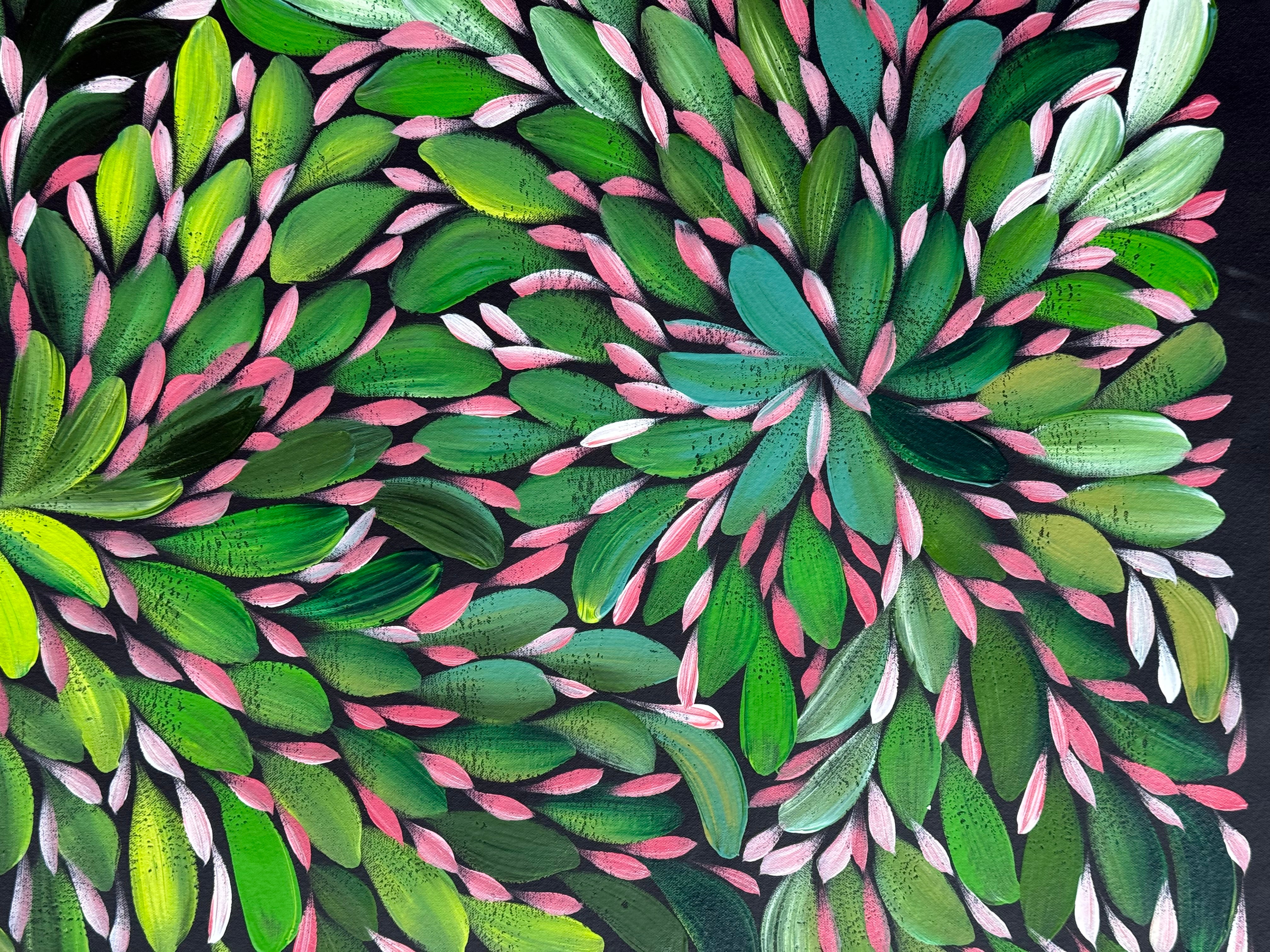 Louise Numina Napananka - Bush Medicine Leaves .22-30