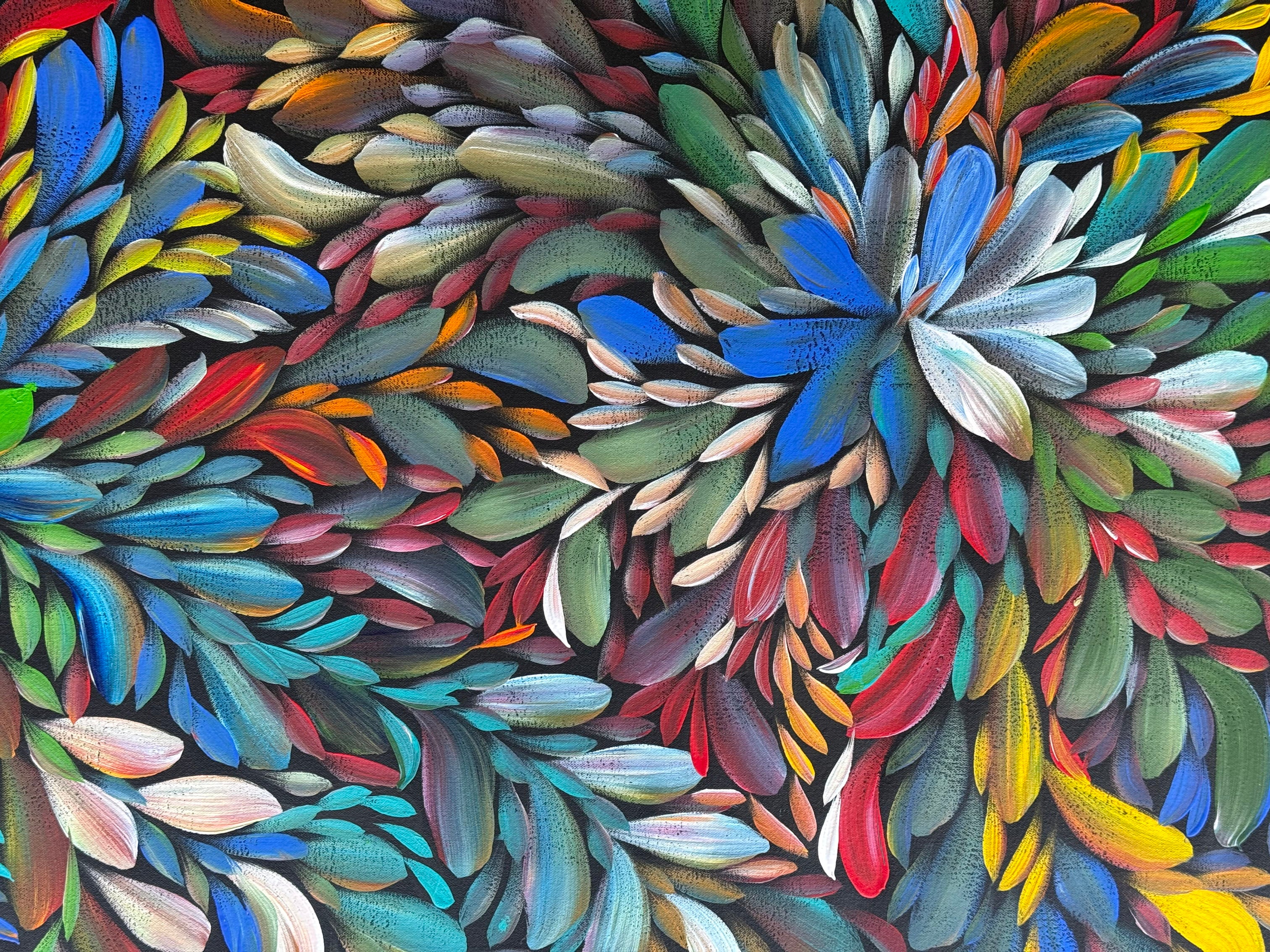 Louise Numina Napananka - Bush Medicine Leaves, Healing Leaves .22-36