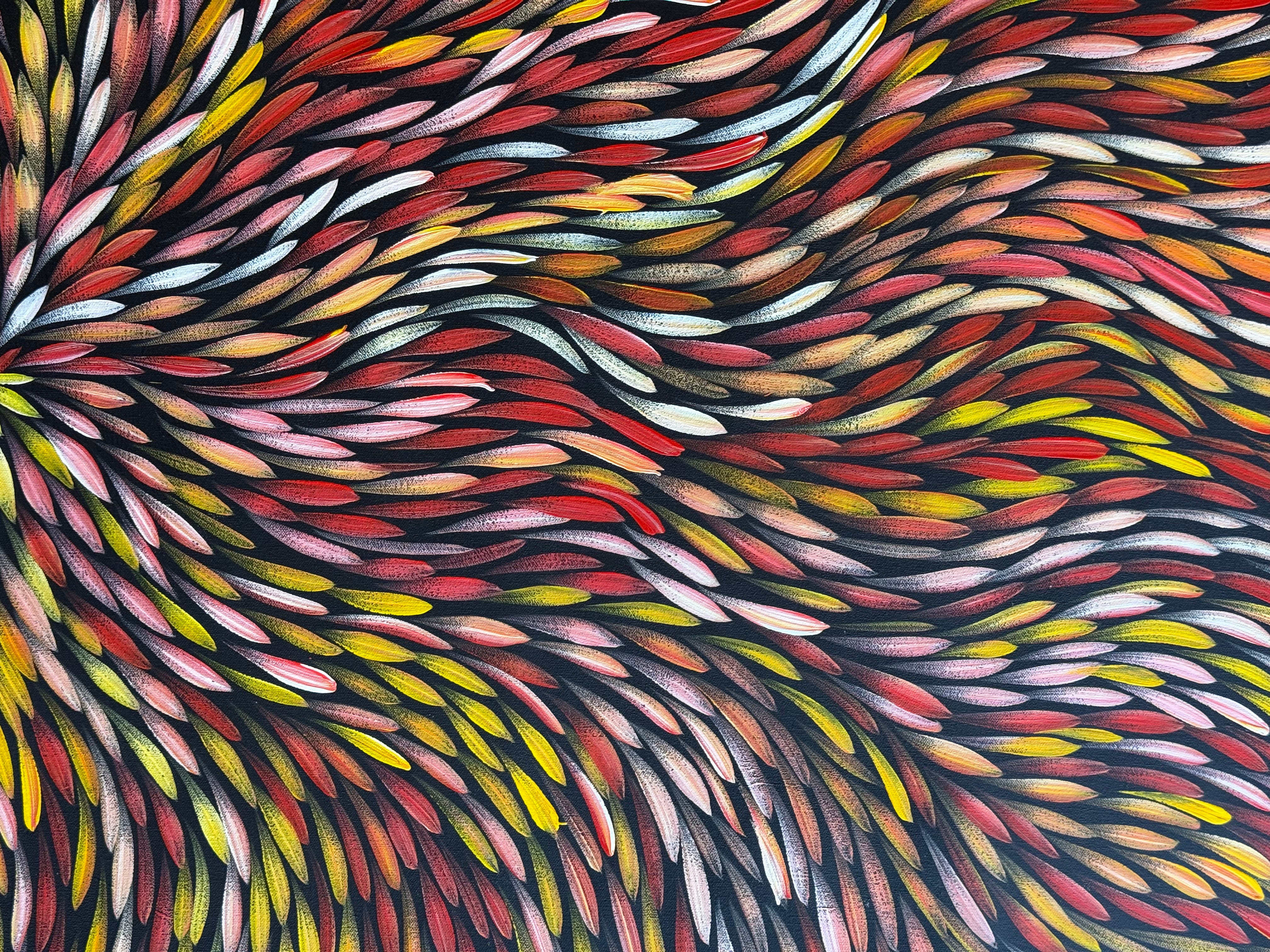 Sharon Numina - Bush Medicine Leaves .83-4