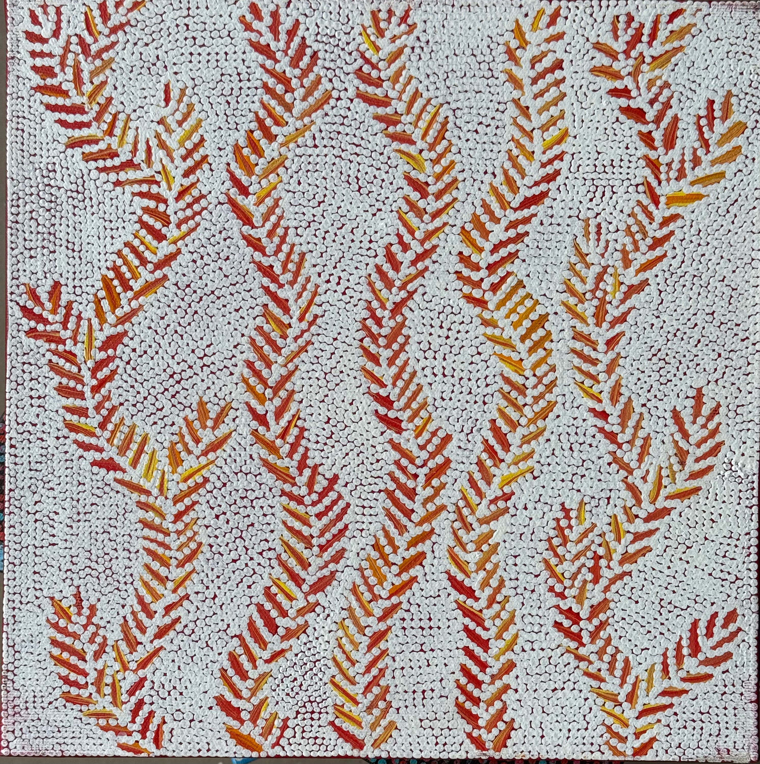 Patricia Nakamarra Oldfield - Karnta Jukurrpa (Women's Dreaming) Bush Medicine - Stretched