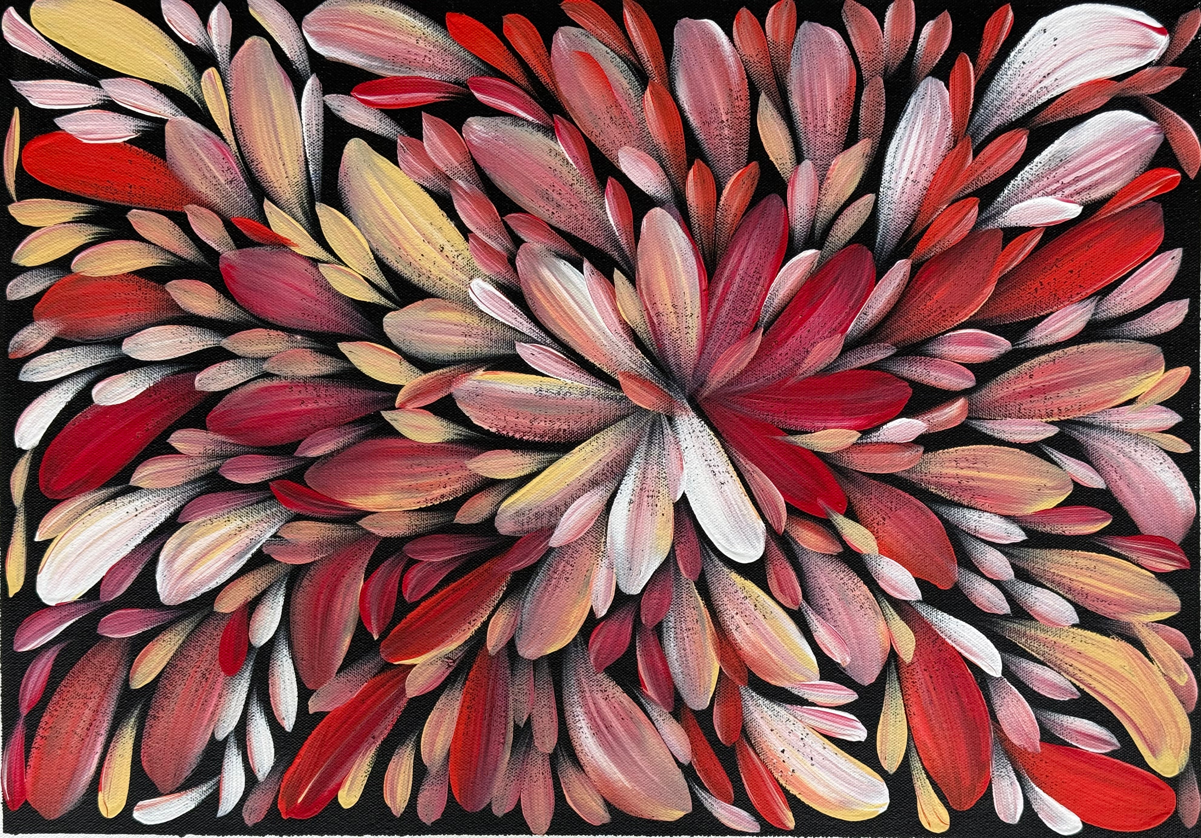 Louise Numina Napananka - Bush Medicine Leaves .57-25