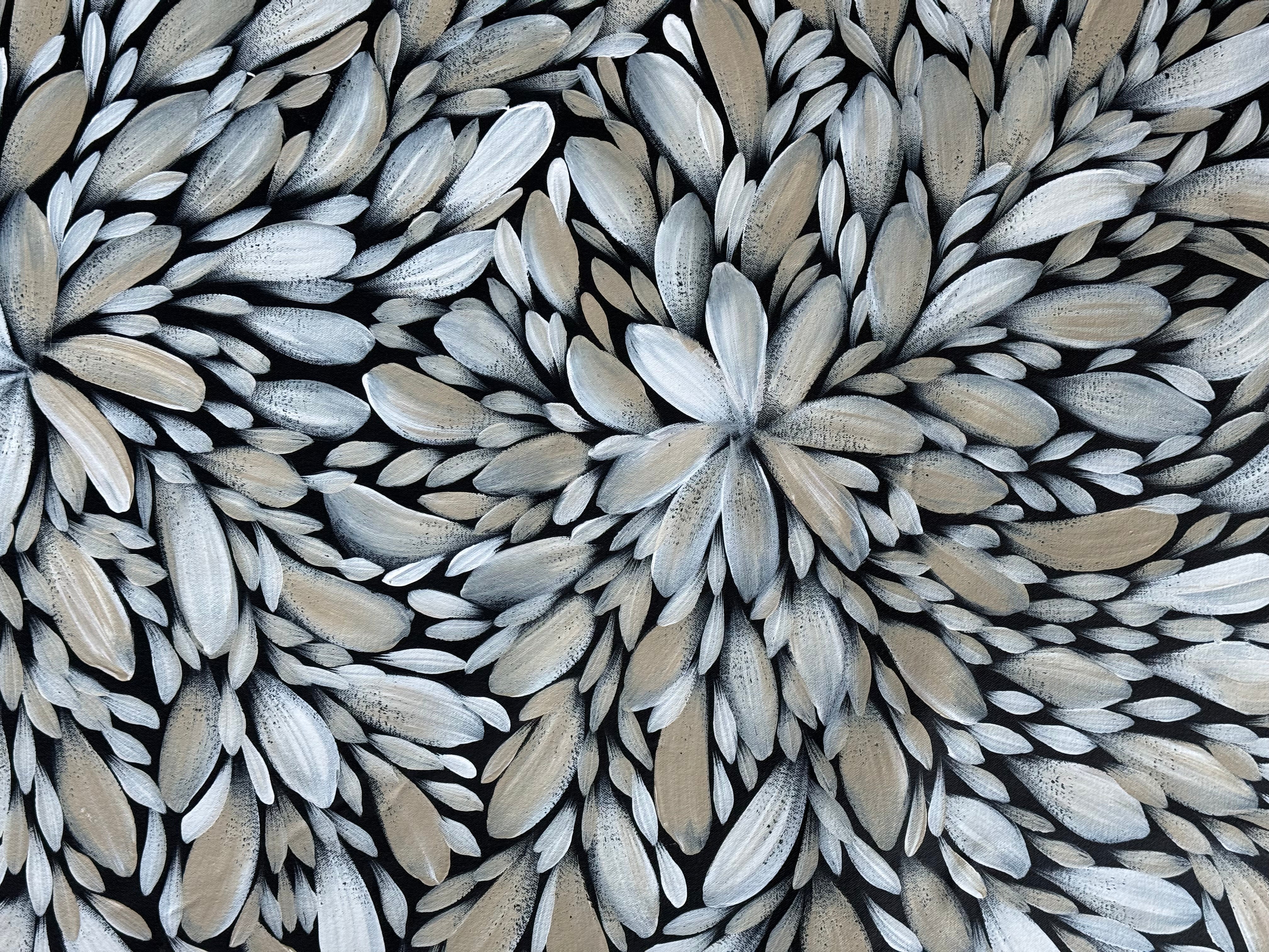 Louise Numina Napananka - Bush Medicine Leaves .16-35