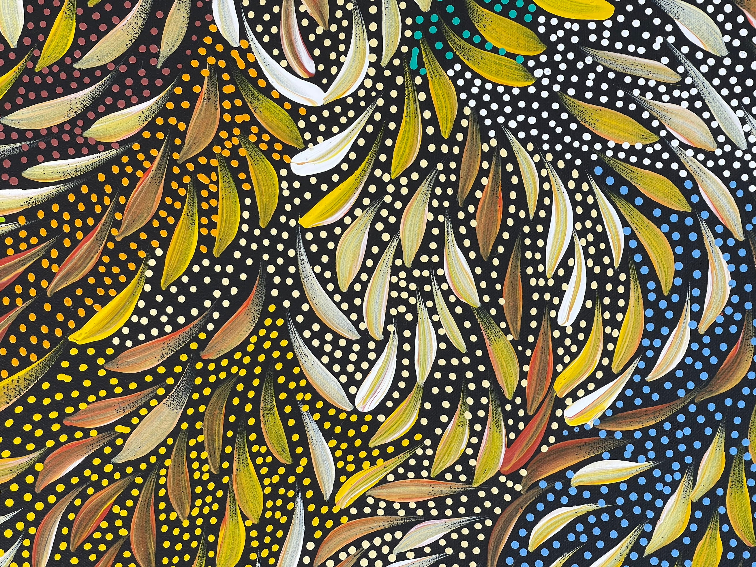 Caroline Numina - Seeded Bush Medicine Leaves .25-15