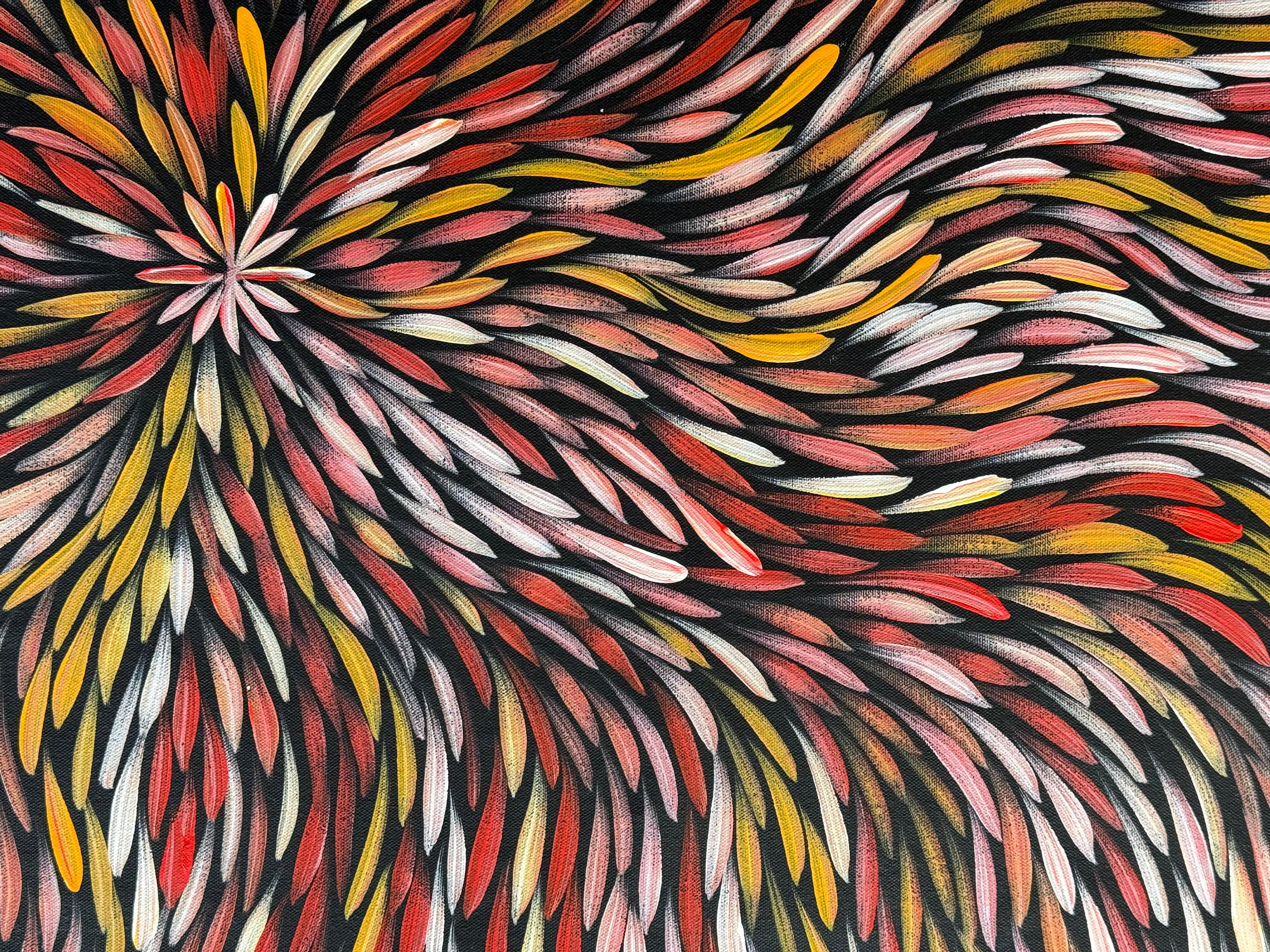 Sharon Numina - Bush Medicine Leaves .14-24