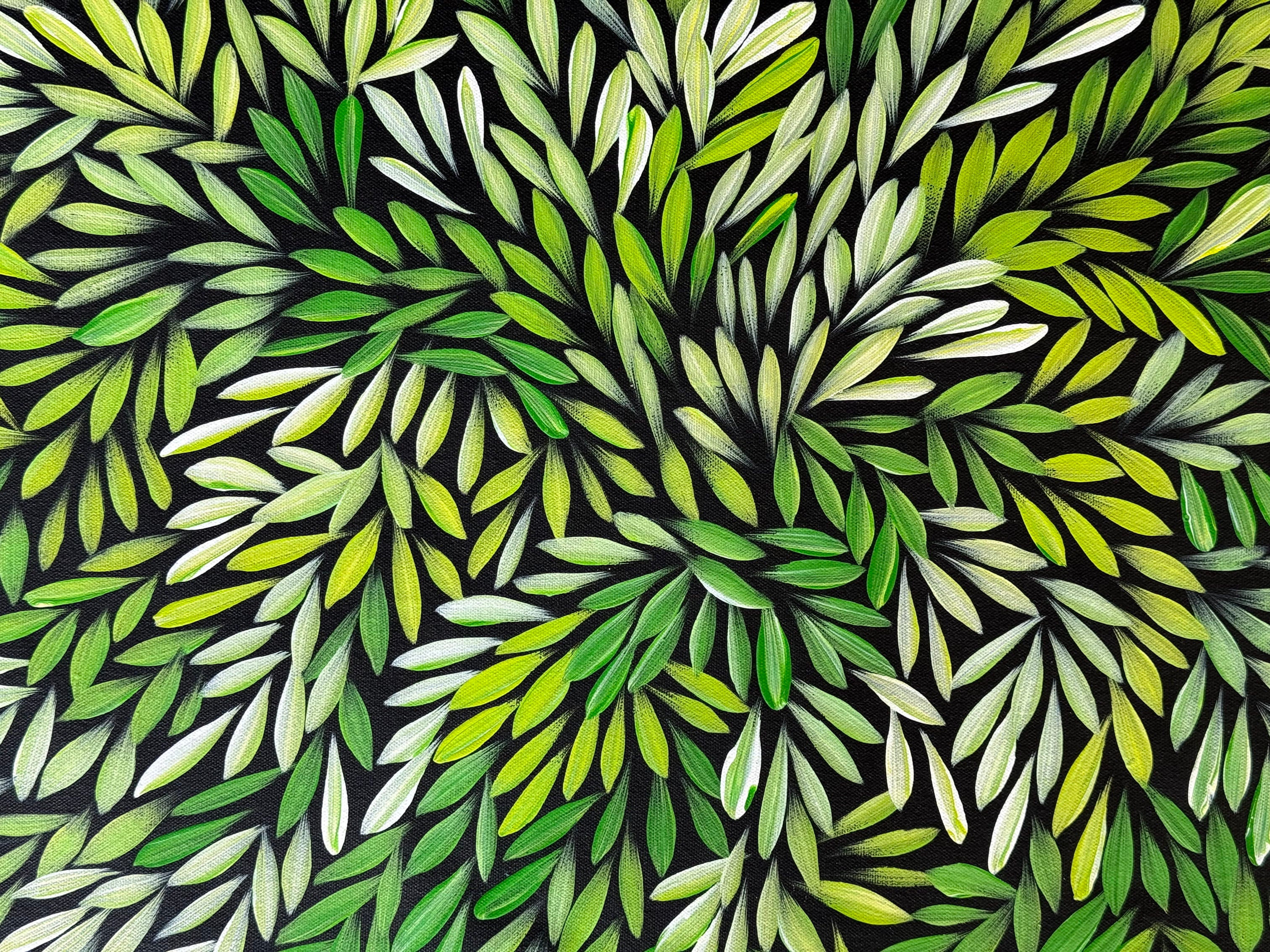 Sharon Numina - Bush Medicine Leaves - 69x90cm .14-37