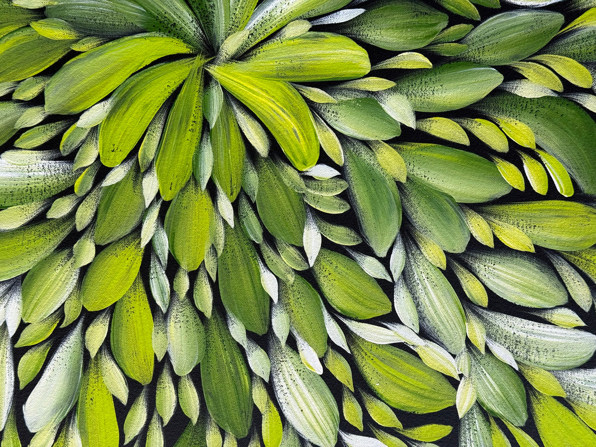 Louise Numina Napananka - Bush Medicine Leaves .43-9
