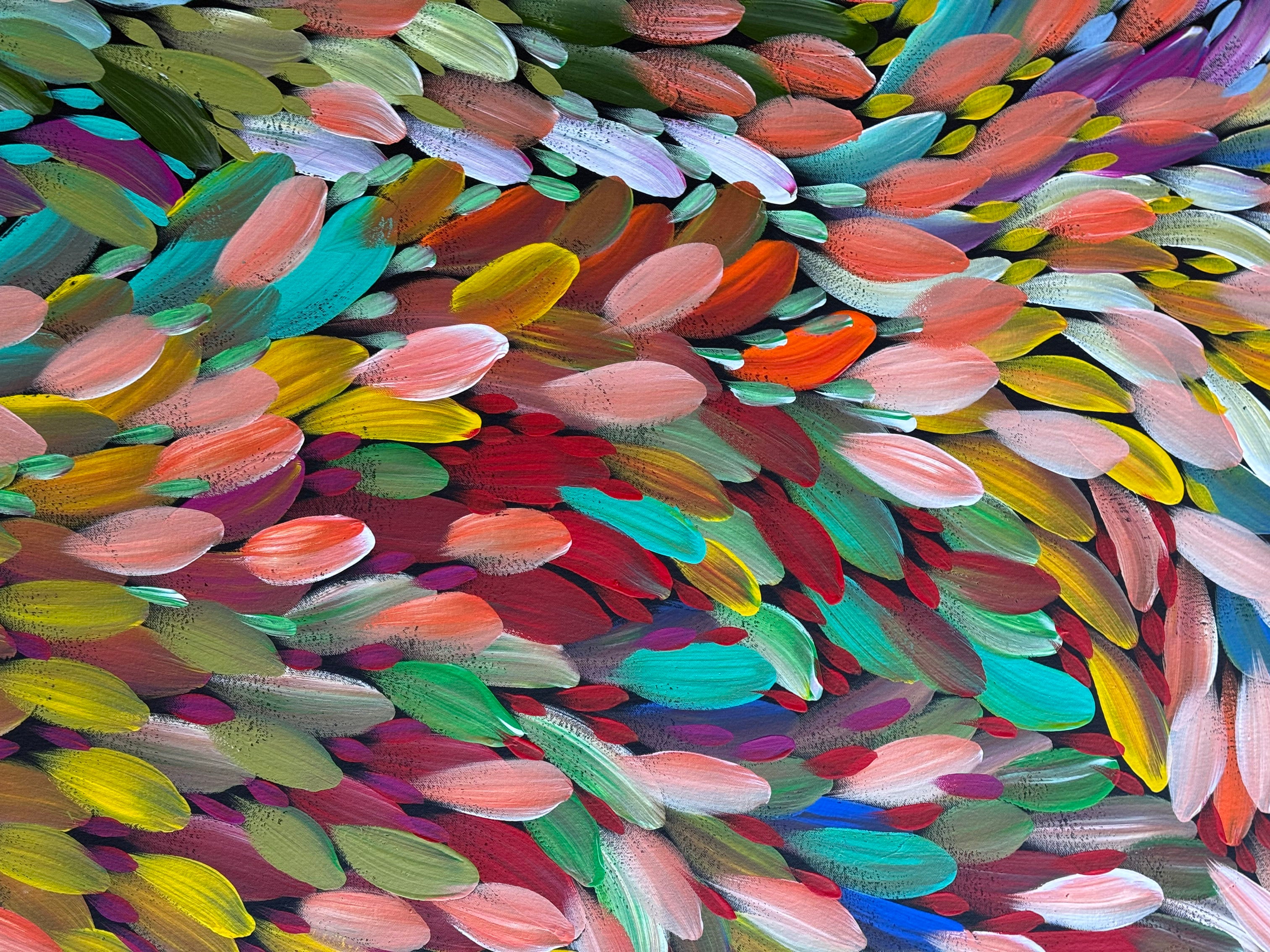 Louise Numina Napananka - Bush Medicine Leaves .41-24