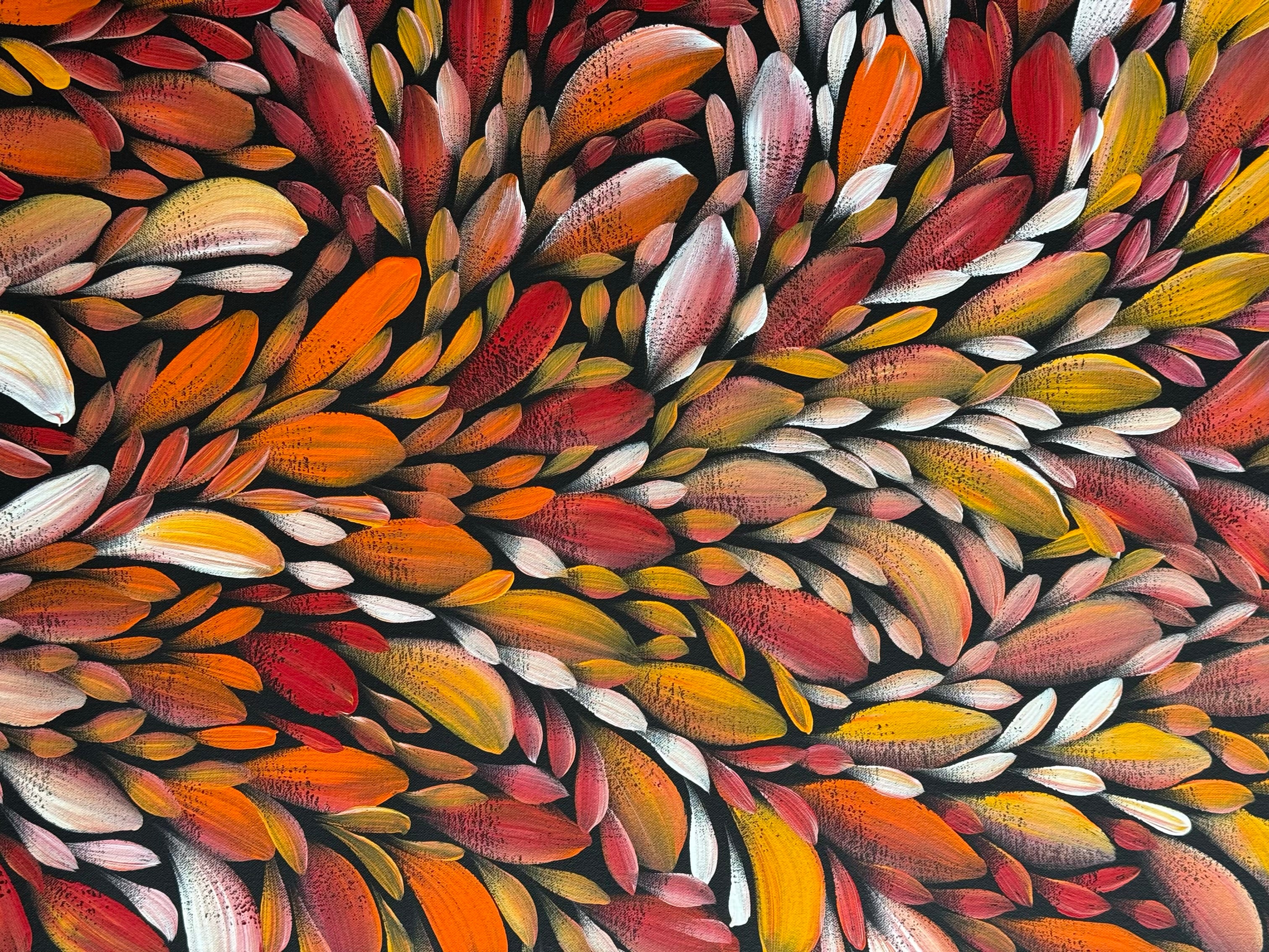Louise Numina Napananka - Bush Medicine Leaves .57-41