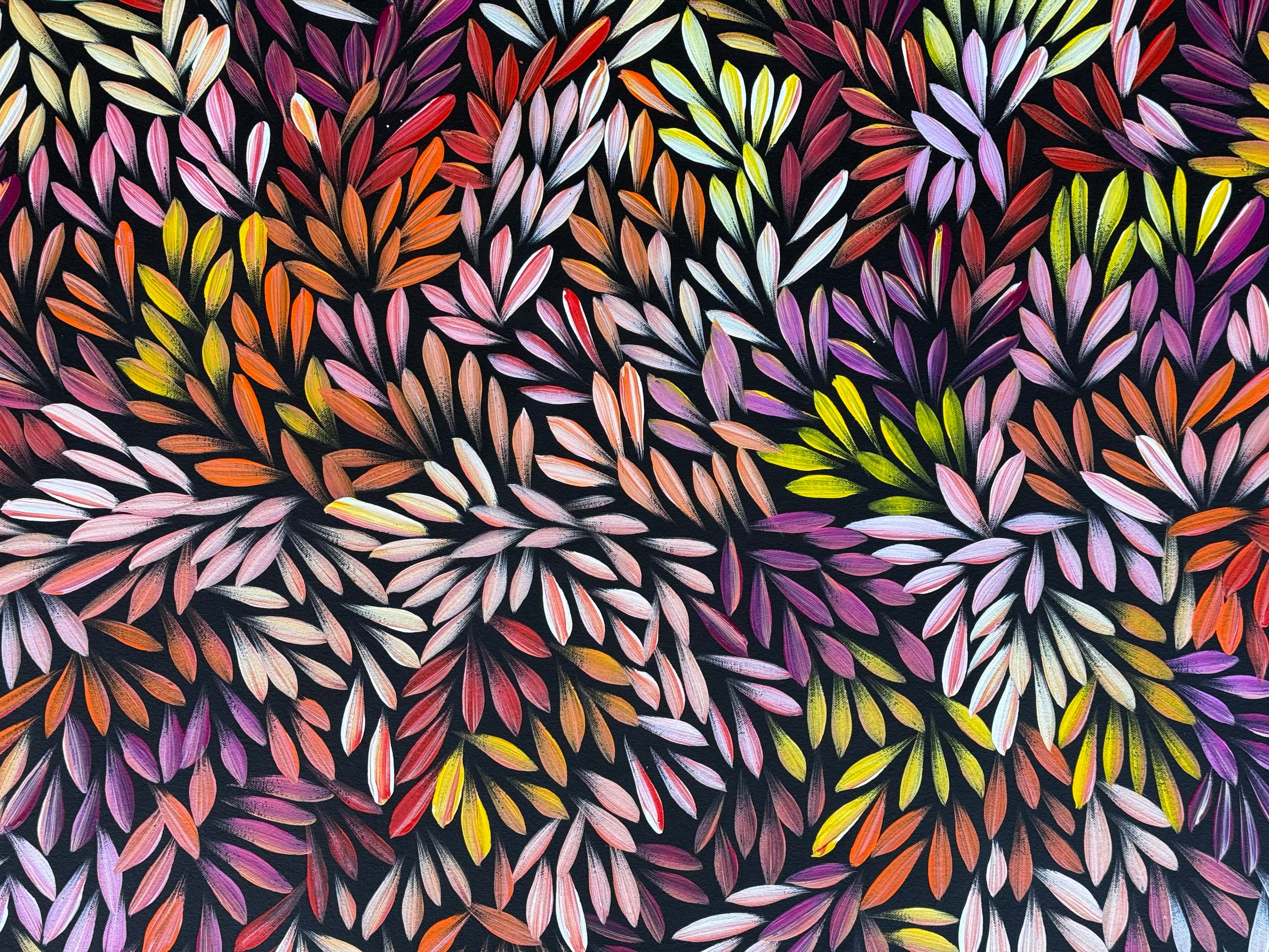 Sharon Numina - Bush Medicine Leaves .50-18