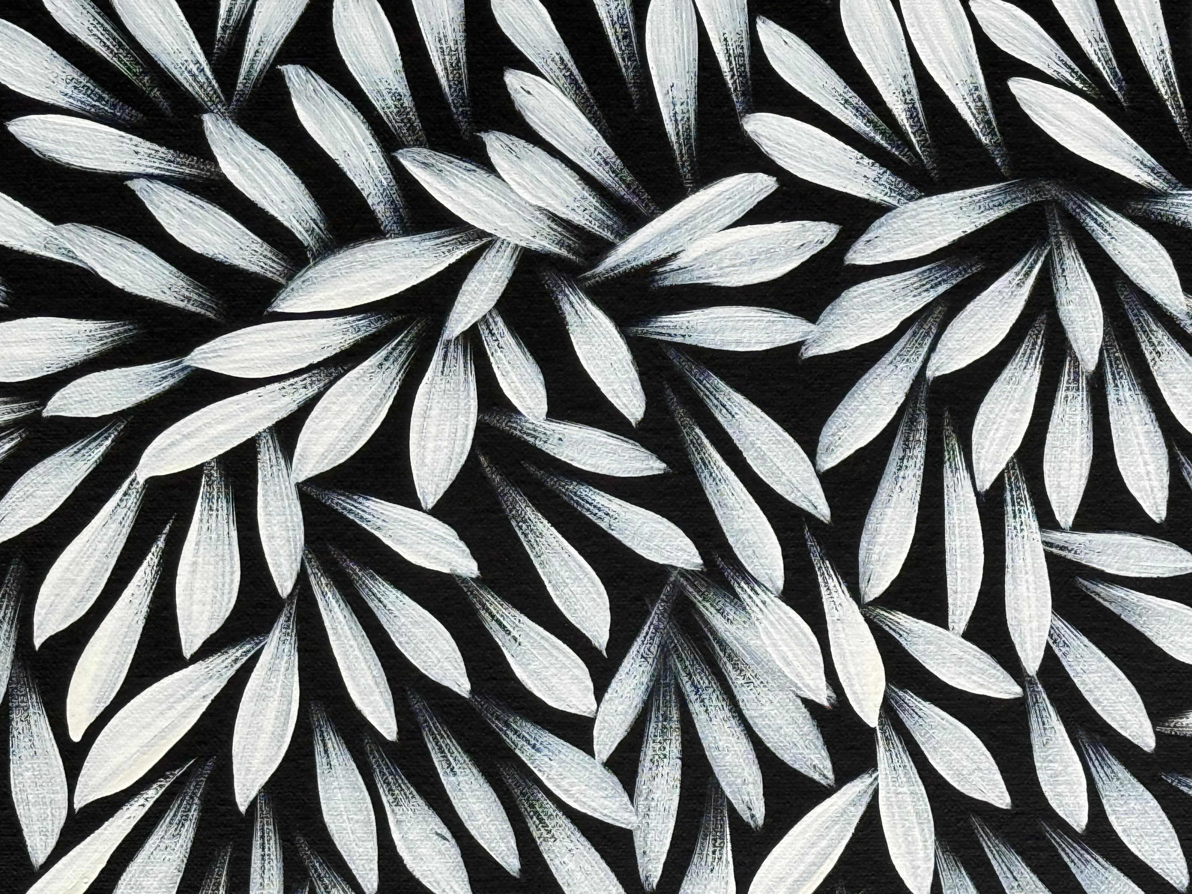 Sharon Numina - Bush Medicine Leaves .50-8