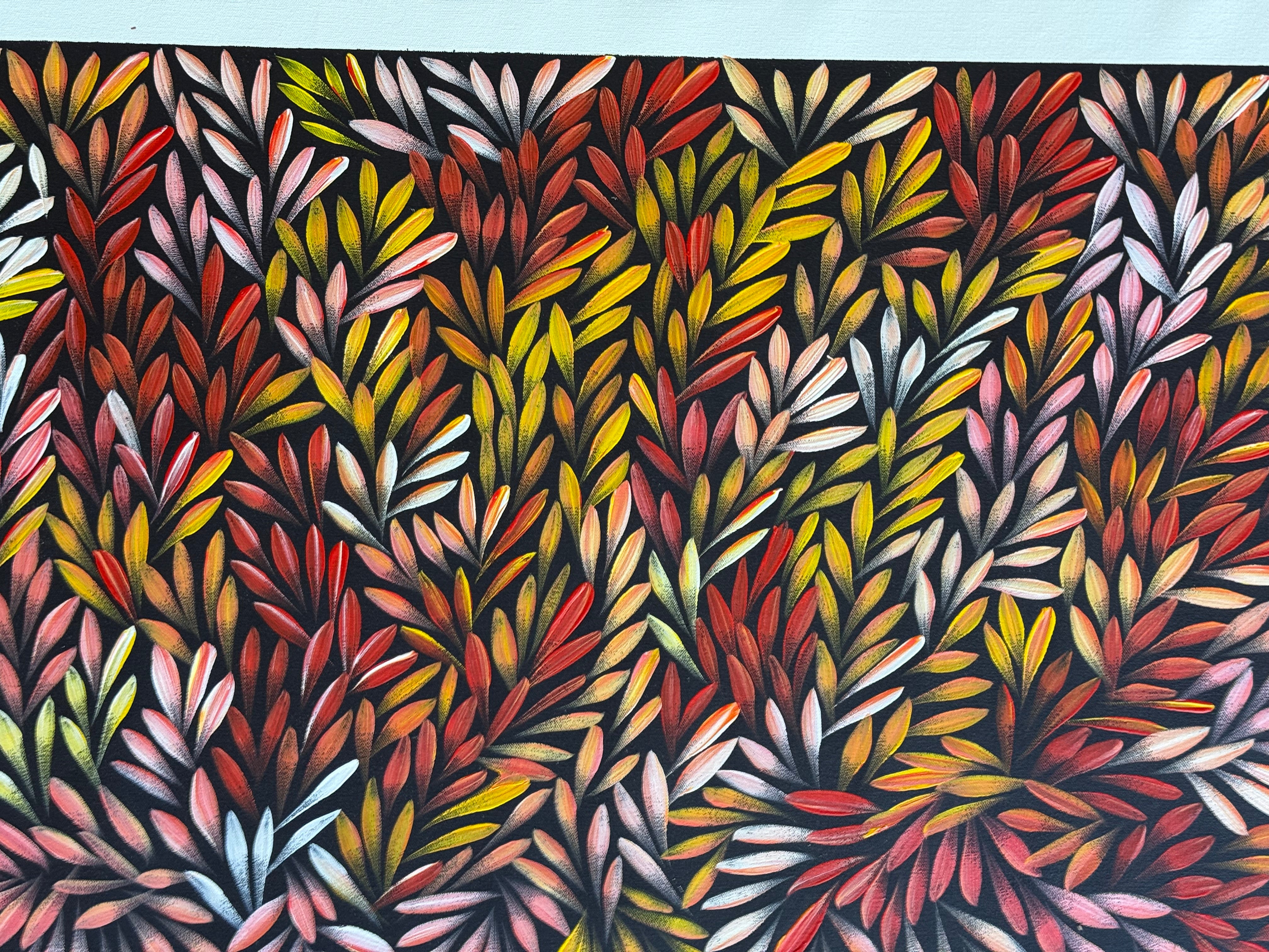 Sharon Numina - Bush Medicine Leaves .83-1