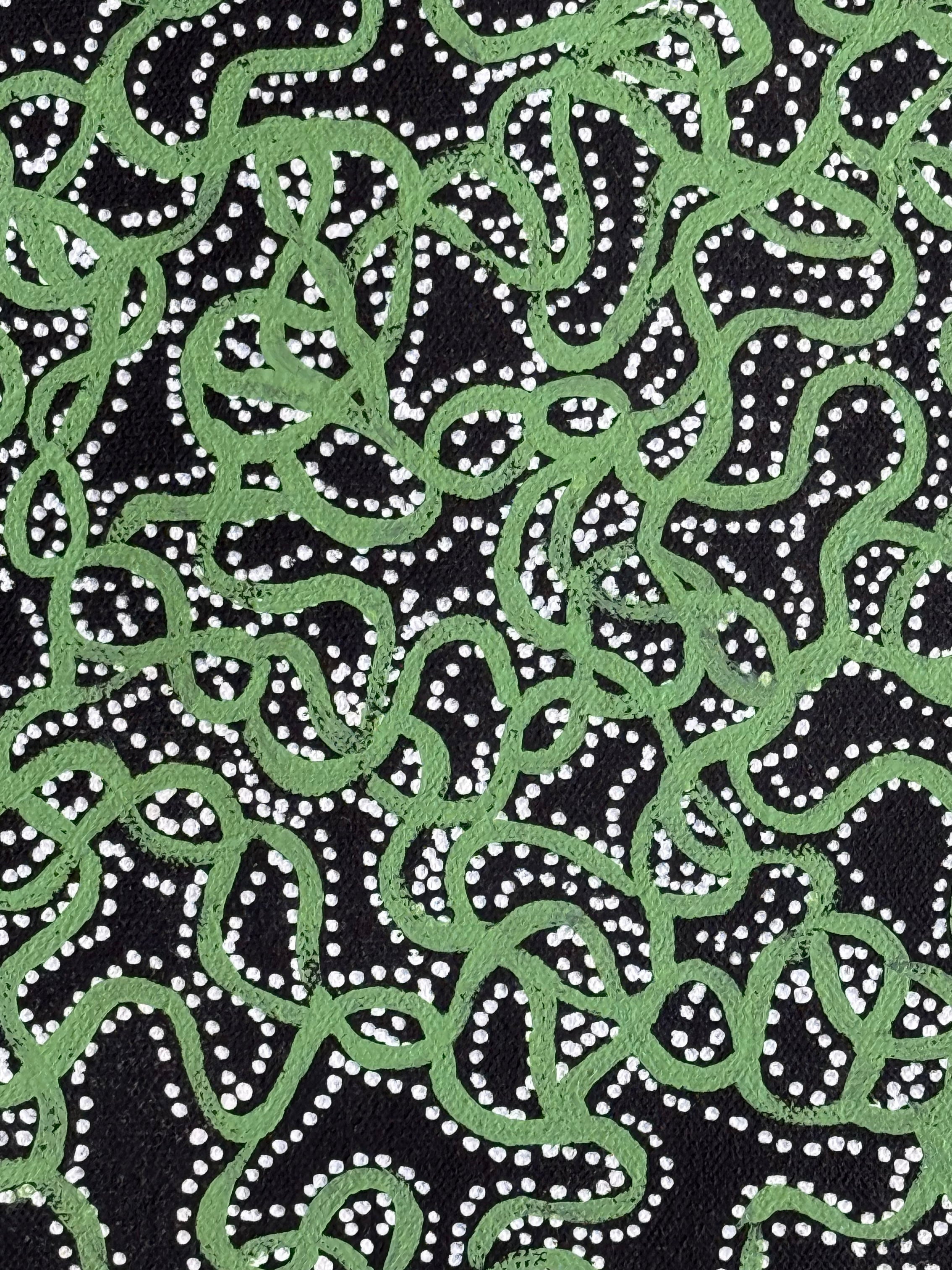 Geraldine Napangardi Granites - Ngalyipi Jukurrpa (Snakevine Dreaming) Mina Mina