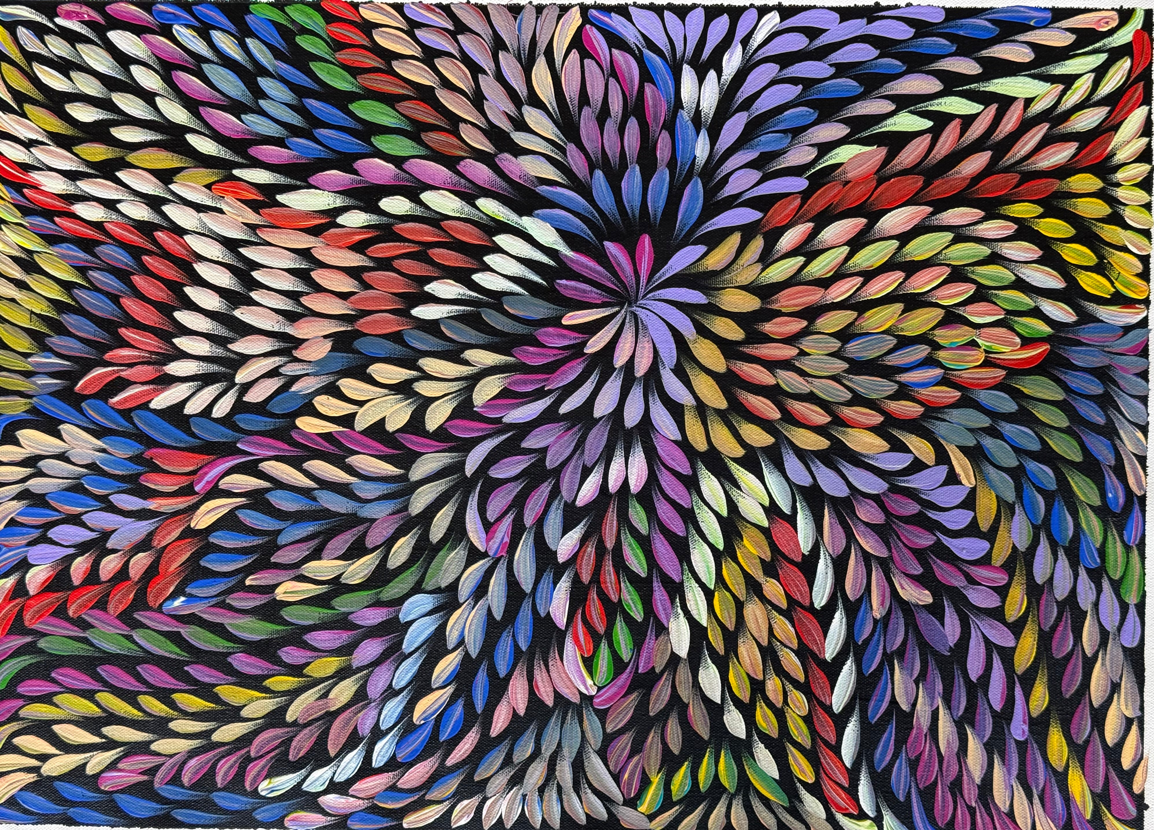 Caroline Numina - Bush Medicine Leaves .04-44