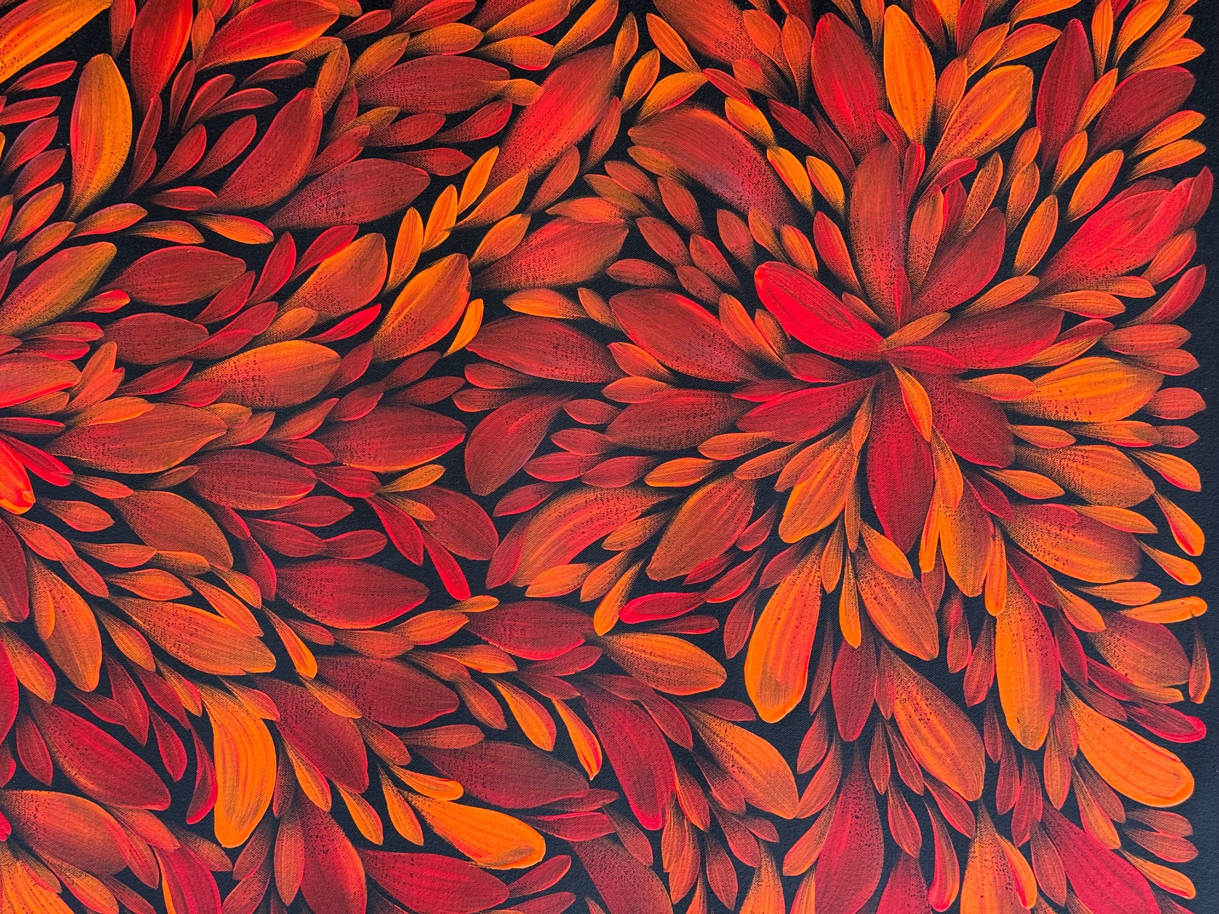 Louise Numina Napananka - Bush Medicine Leaves .57-45