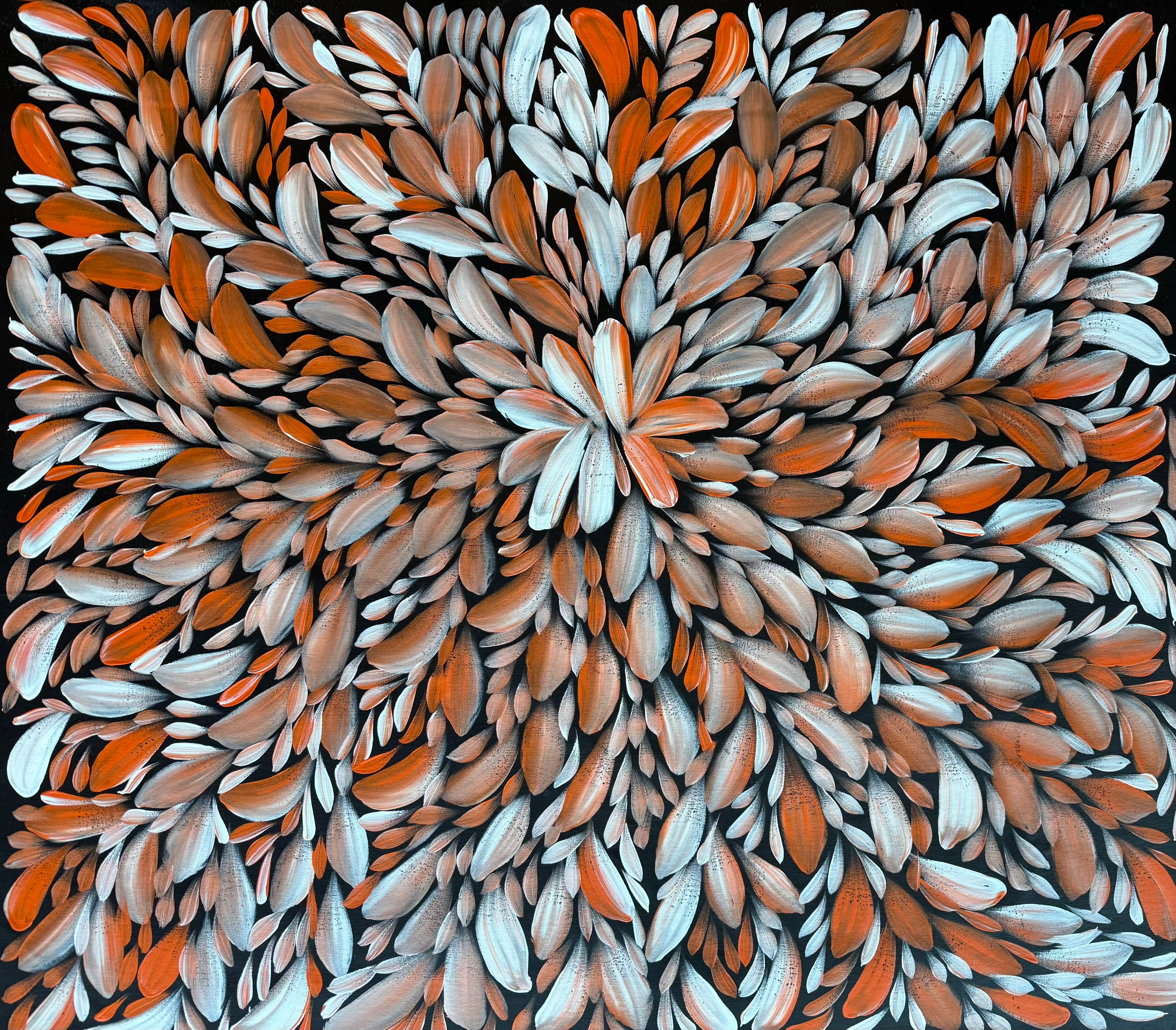 Louise Numina Napananka - Bush Medicine Leaves .49-10