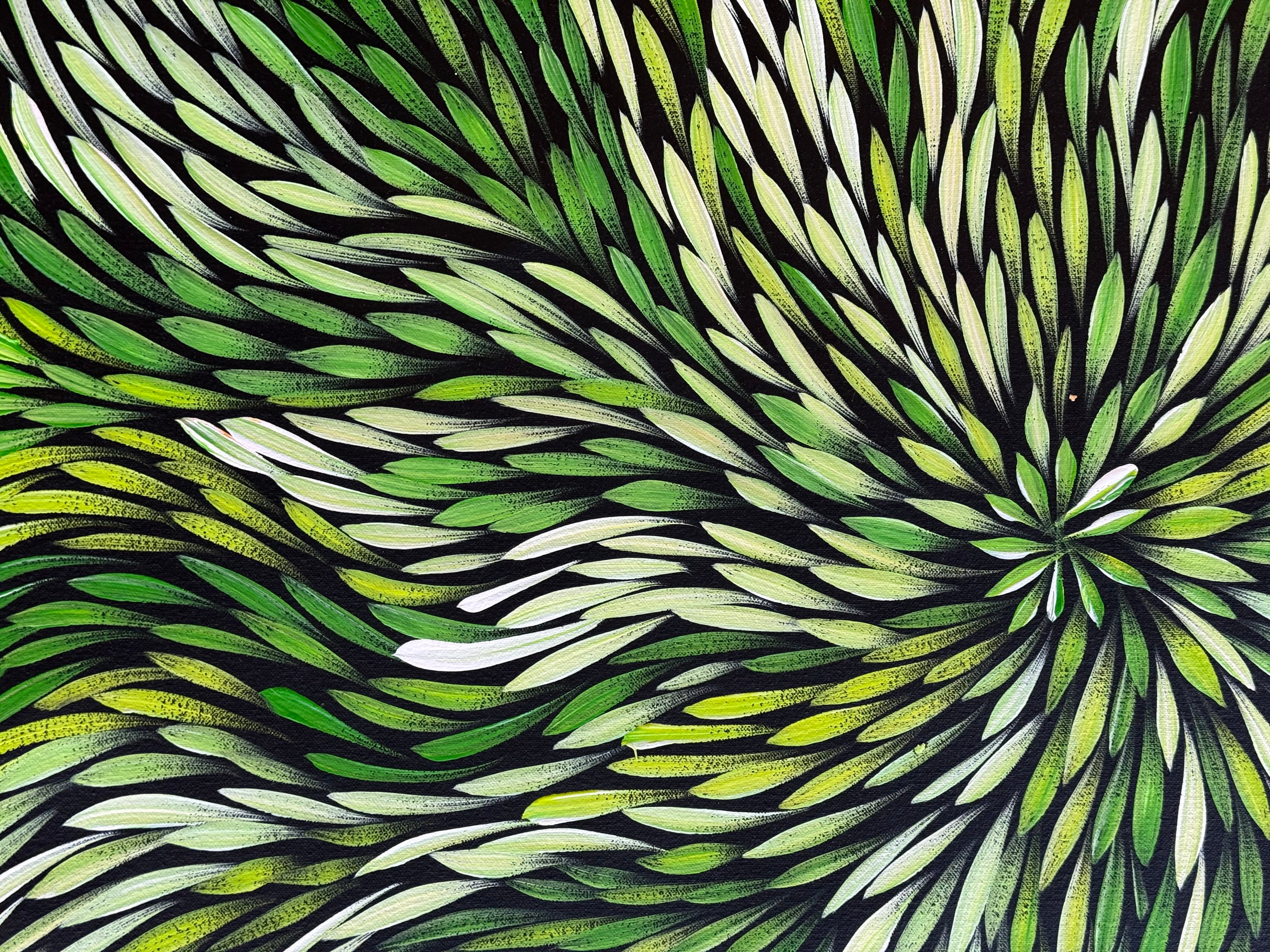 Sharon Numina - Bush Medicine Leaves .14-16