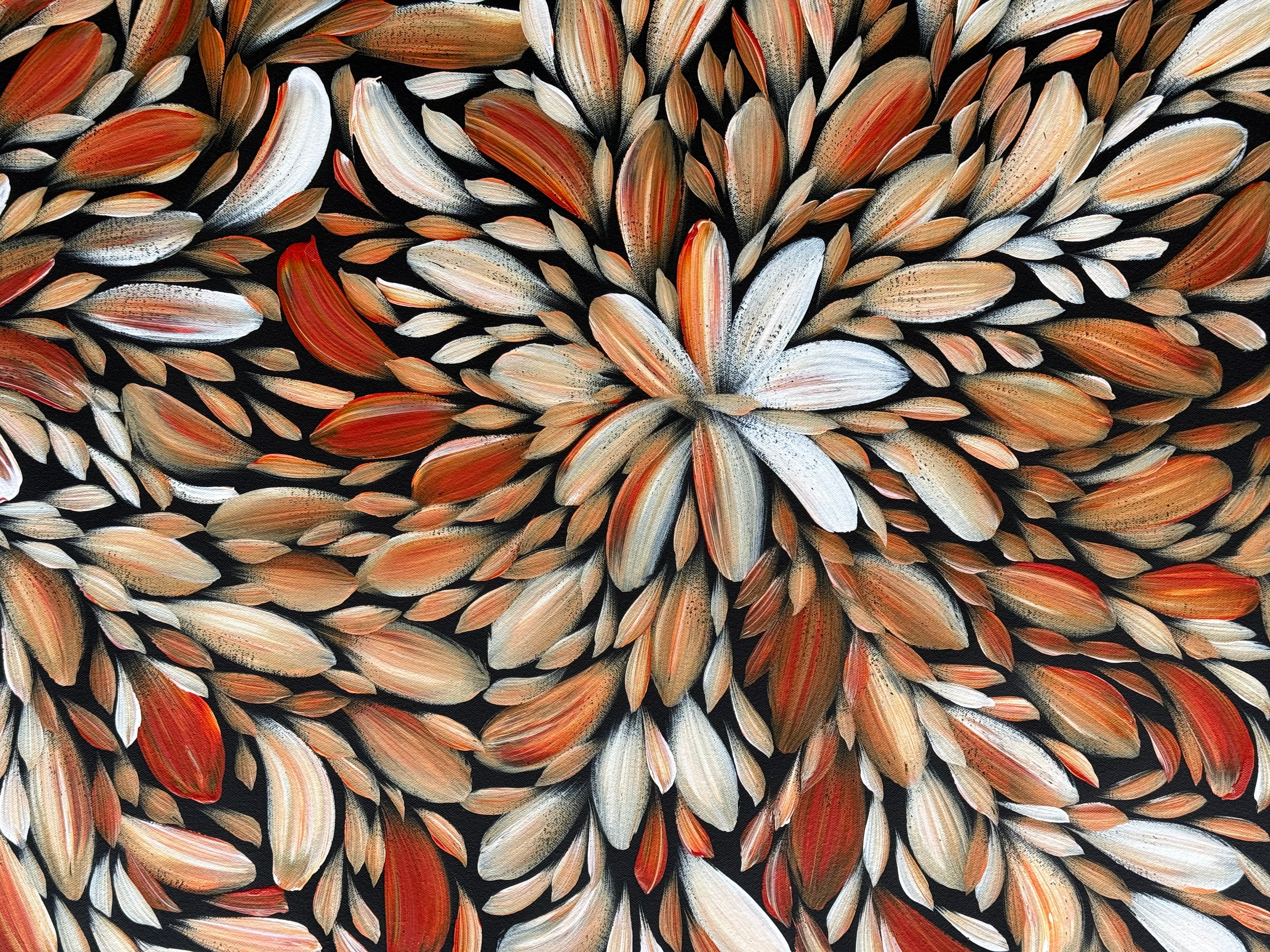Louise Numina Napananka - Bush Medicine Leaves .16-74