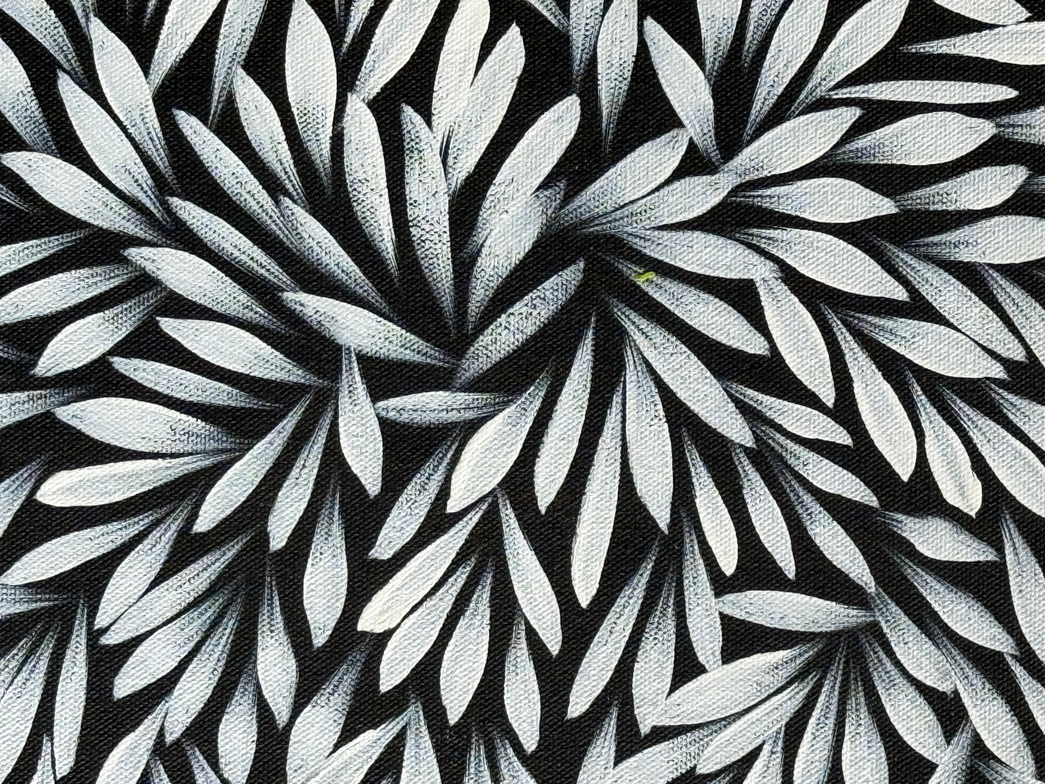 Sharon Numina - Bush Medicine Leaves .14-65