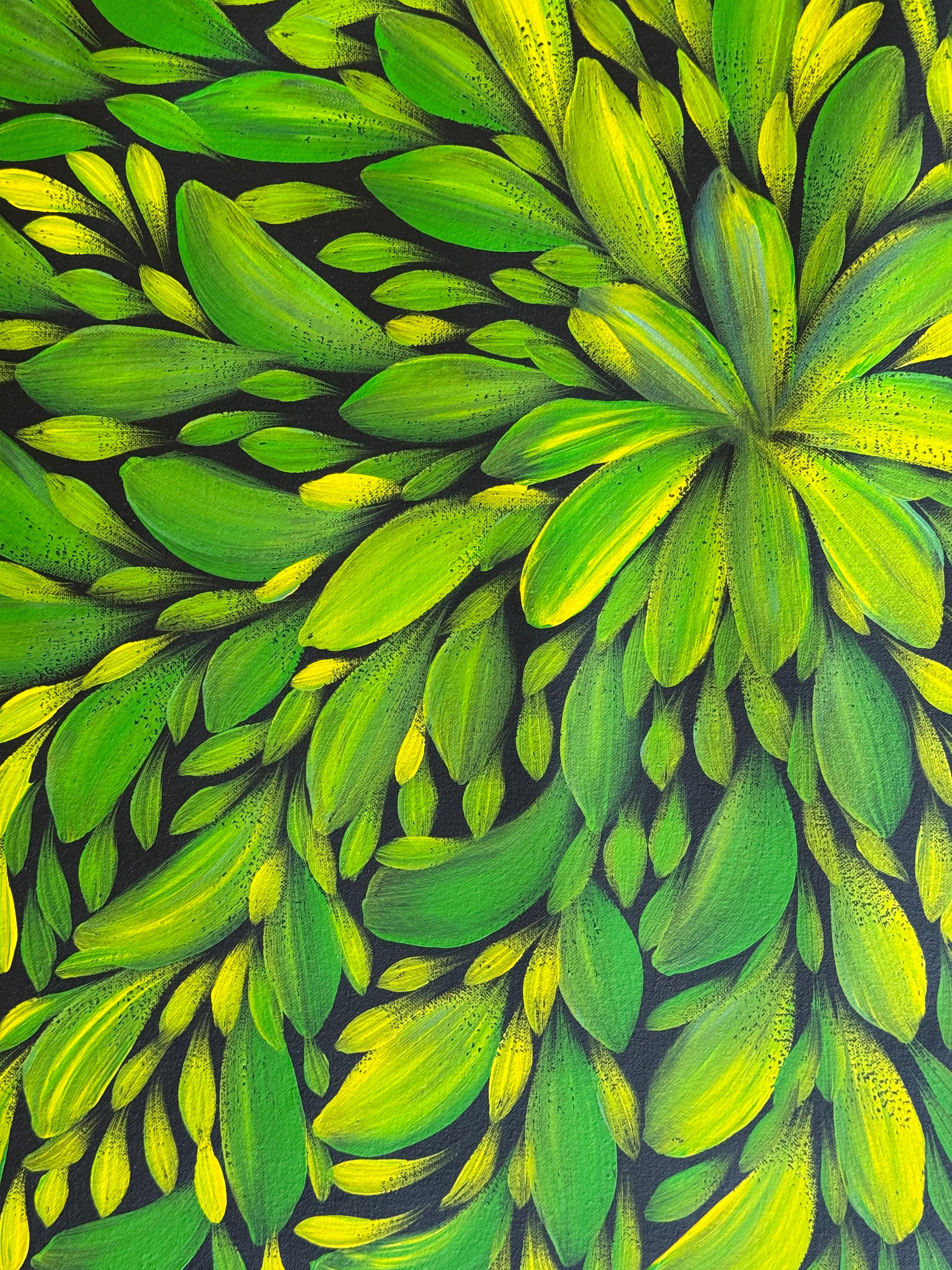 Louise Numina Napananka - Bush Medicine Leaves .16-43