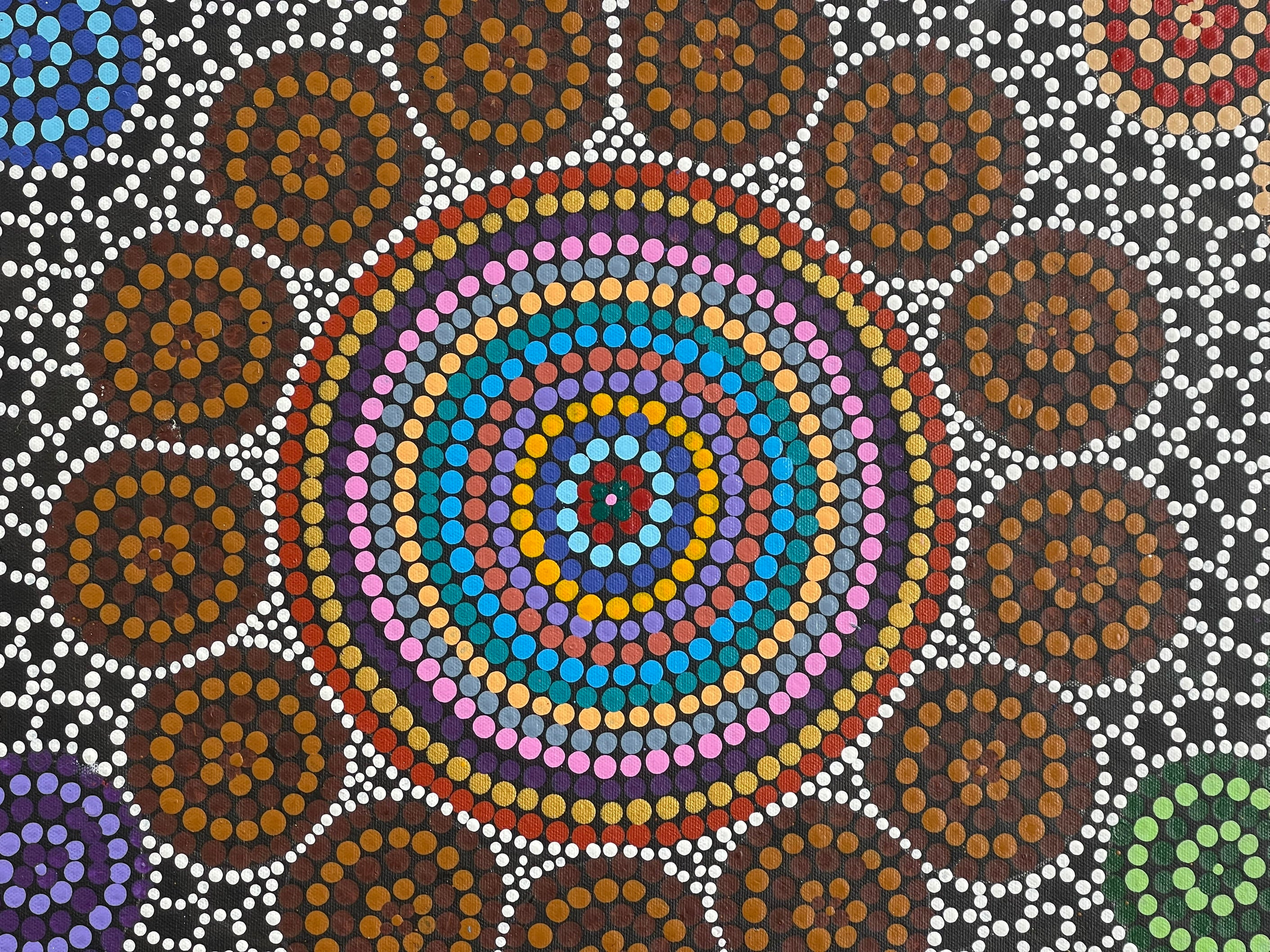 Maryanne Gibson - Bush Flowers, Bush Seeds, and Bush Medicine .27-1