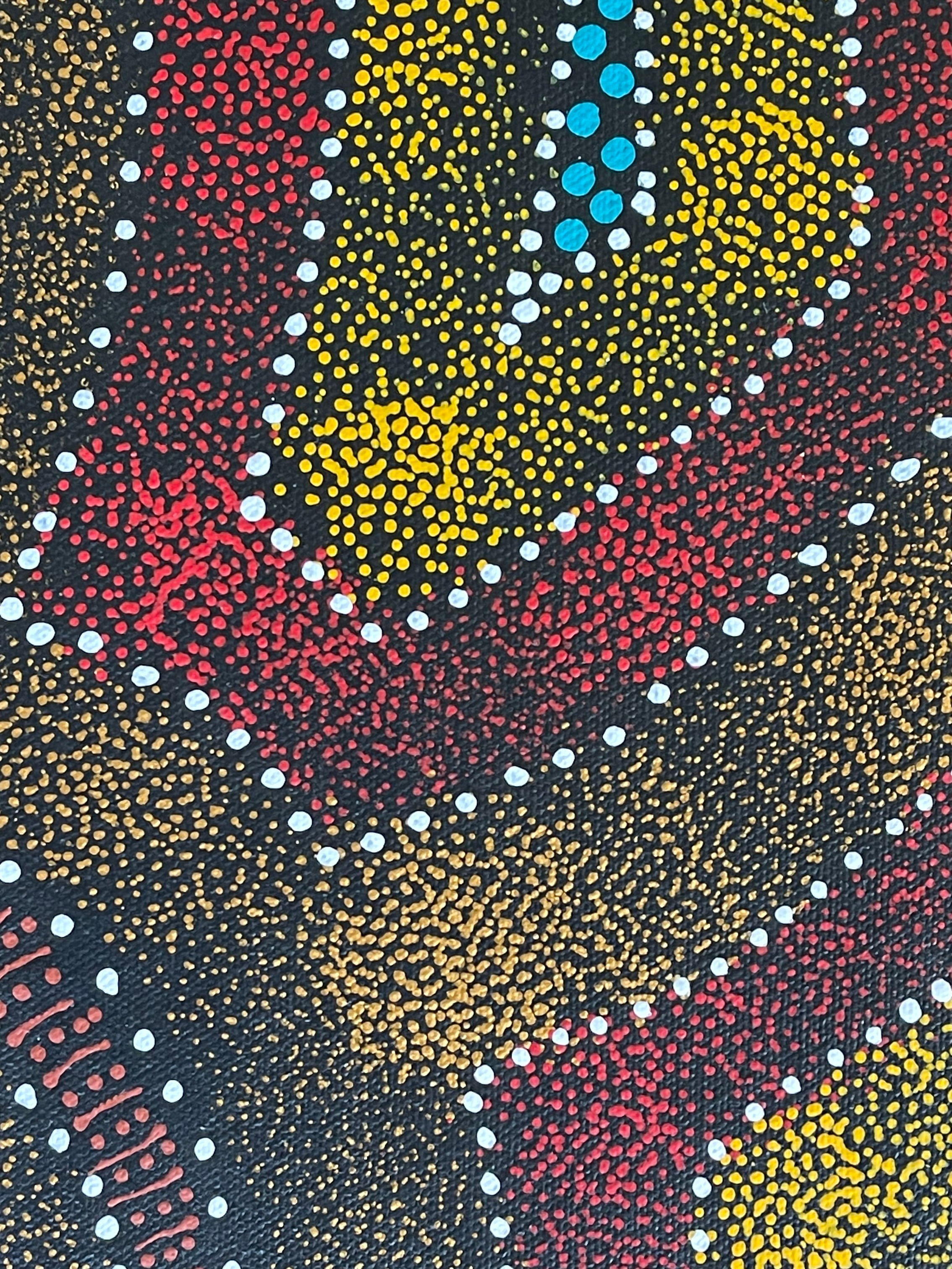 Sharon Turner - Thorny Lizard Dreaming .69-1