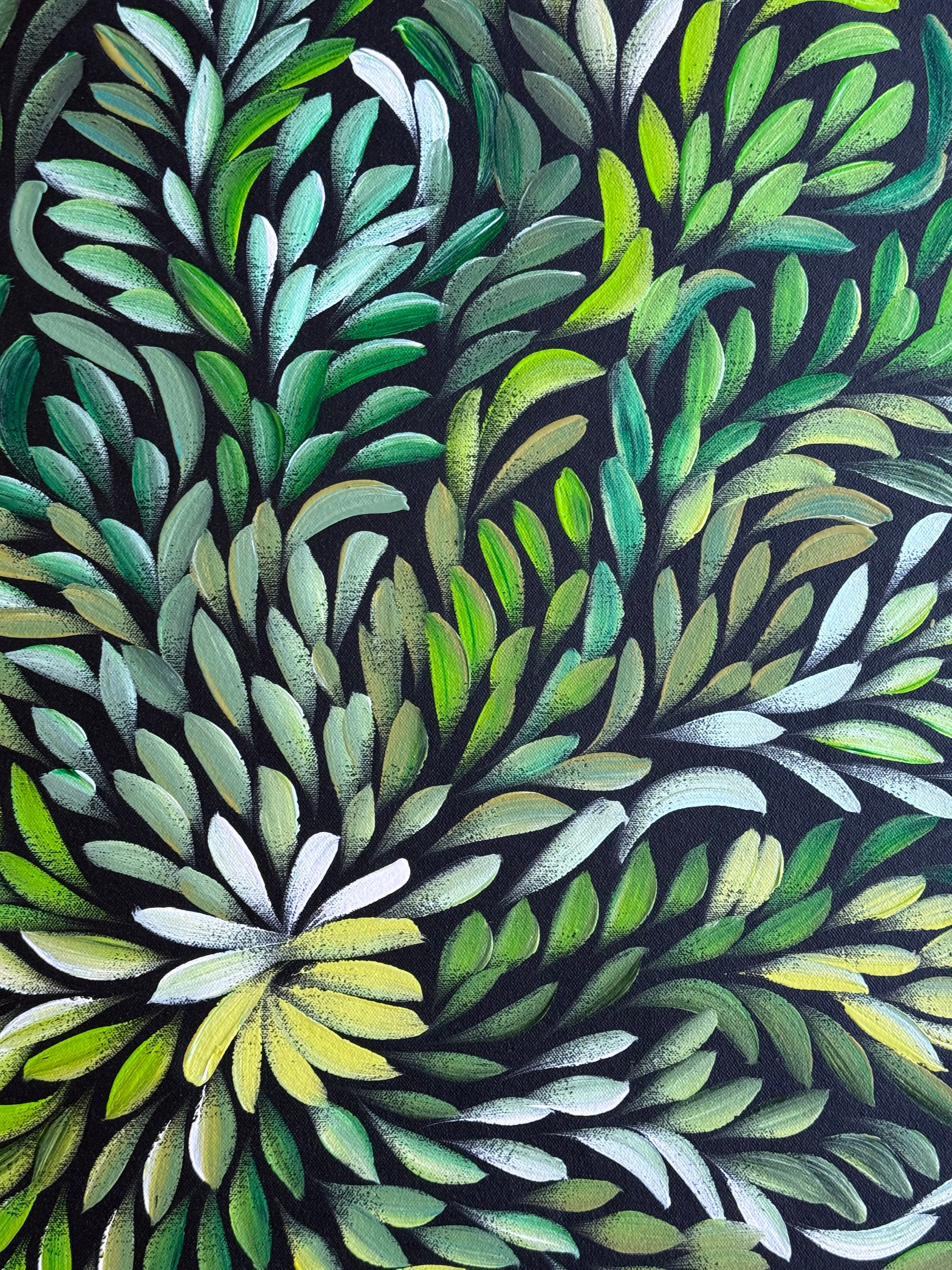 Louise Numina Napananka - Bush Medicine Leaves .22-13