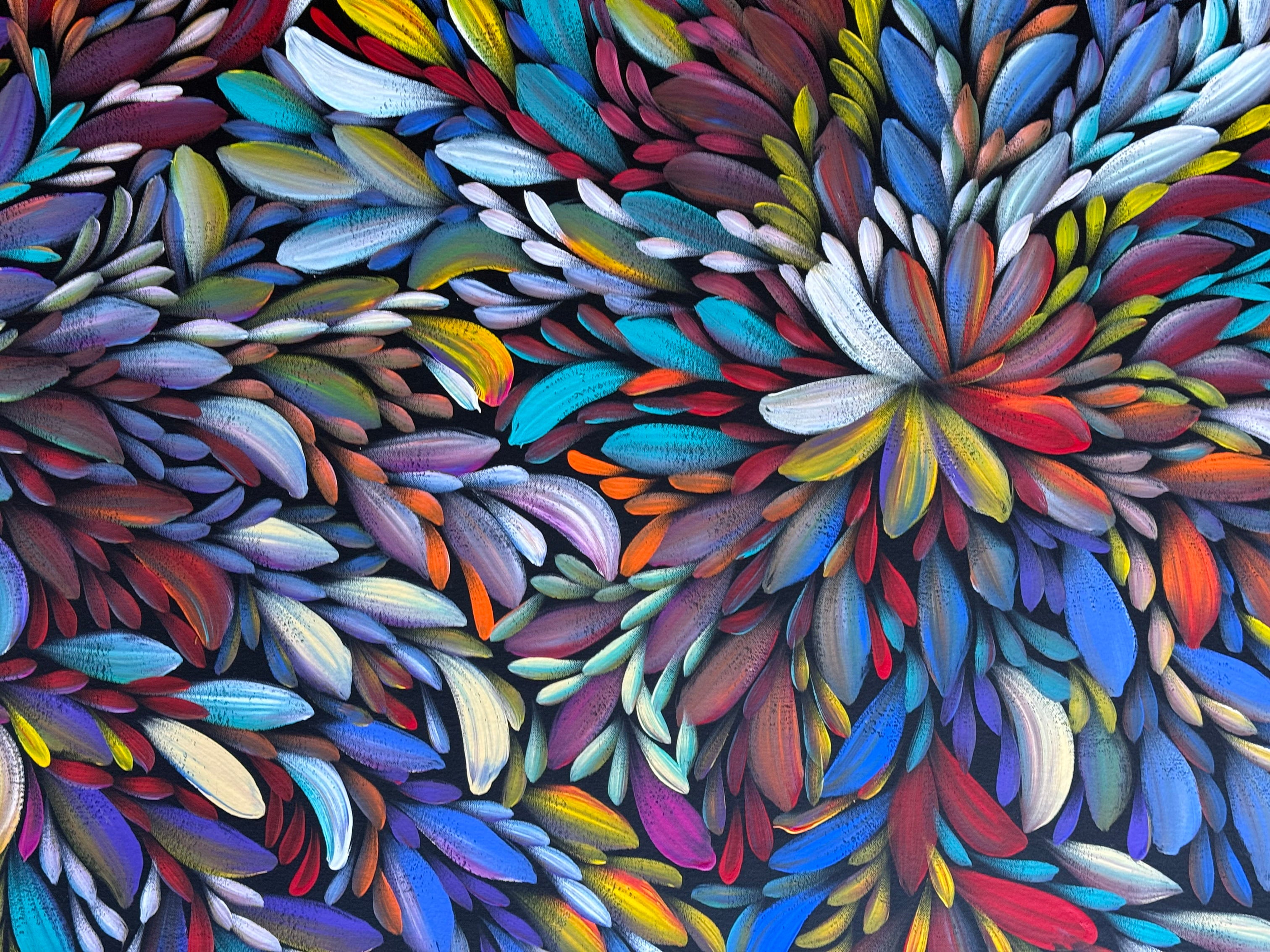 Louise Numina Napananka - Bush Medicine Leaves .41-15