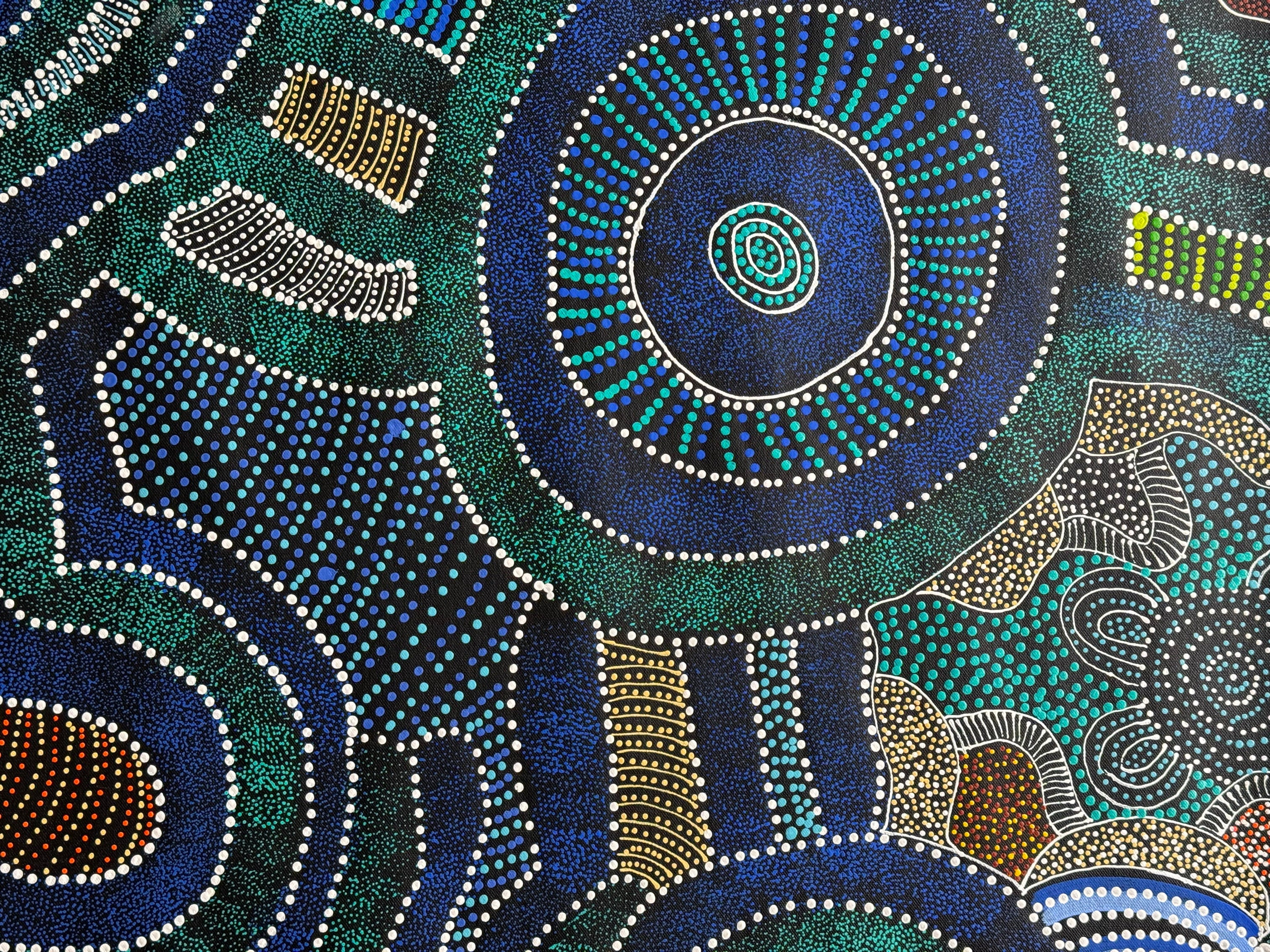 Caroline Numina - Lizard Story (My Country) - 150x91cm .36-7
