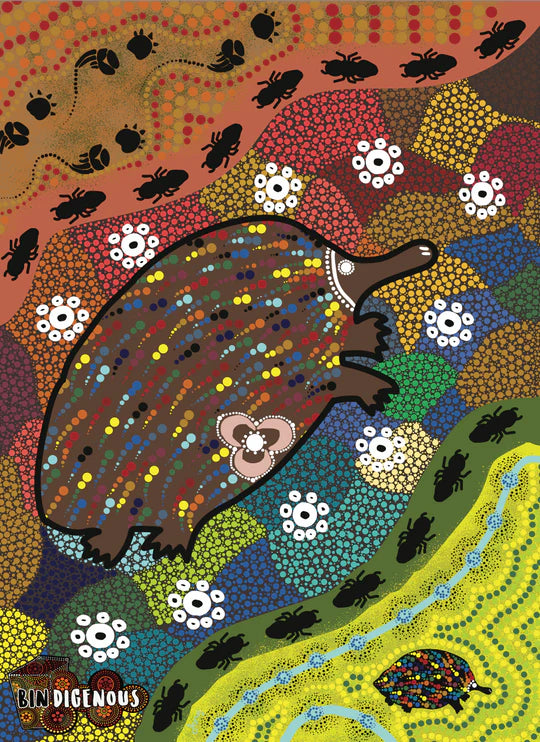 Bindigenous - Bin Sticker - Bigibilla (Echidna)