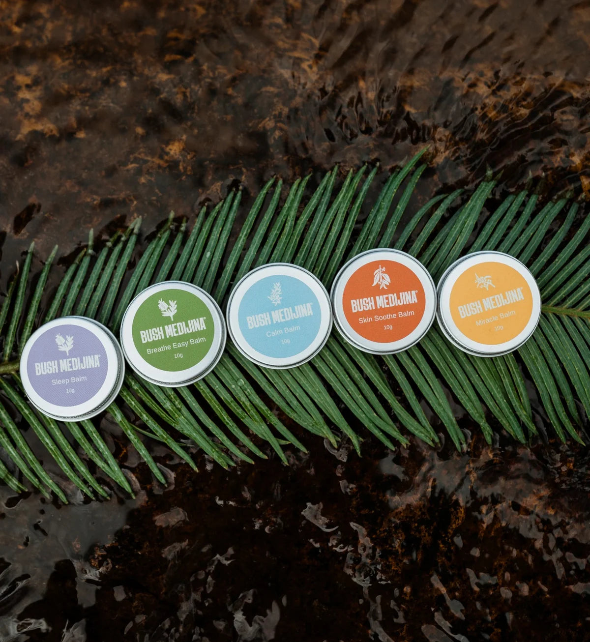 Mini Balm Kit