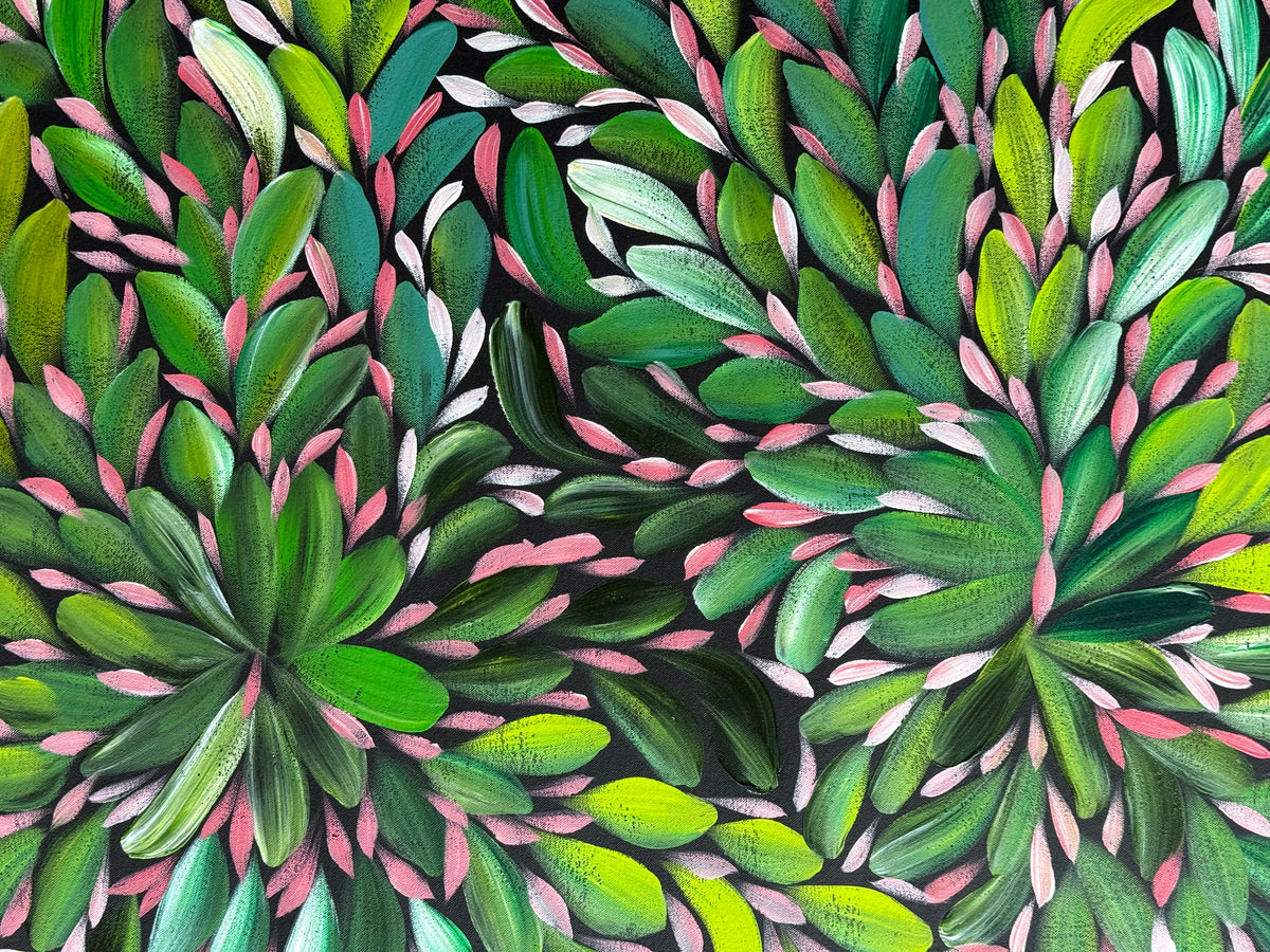 Louise Numina Napananka - Bush Medicine Leaves .22-18