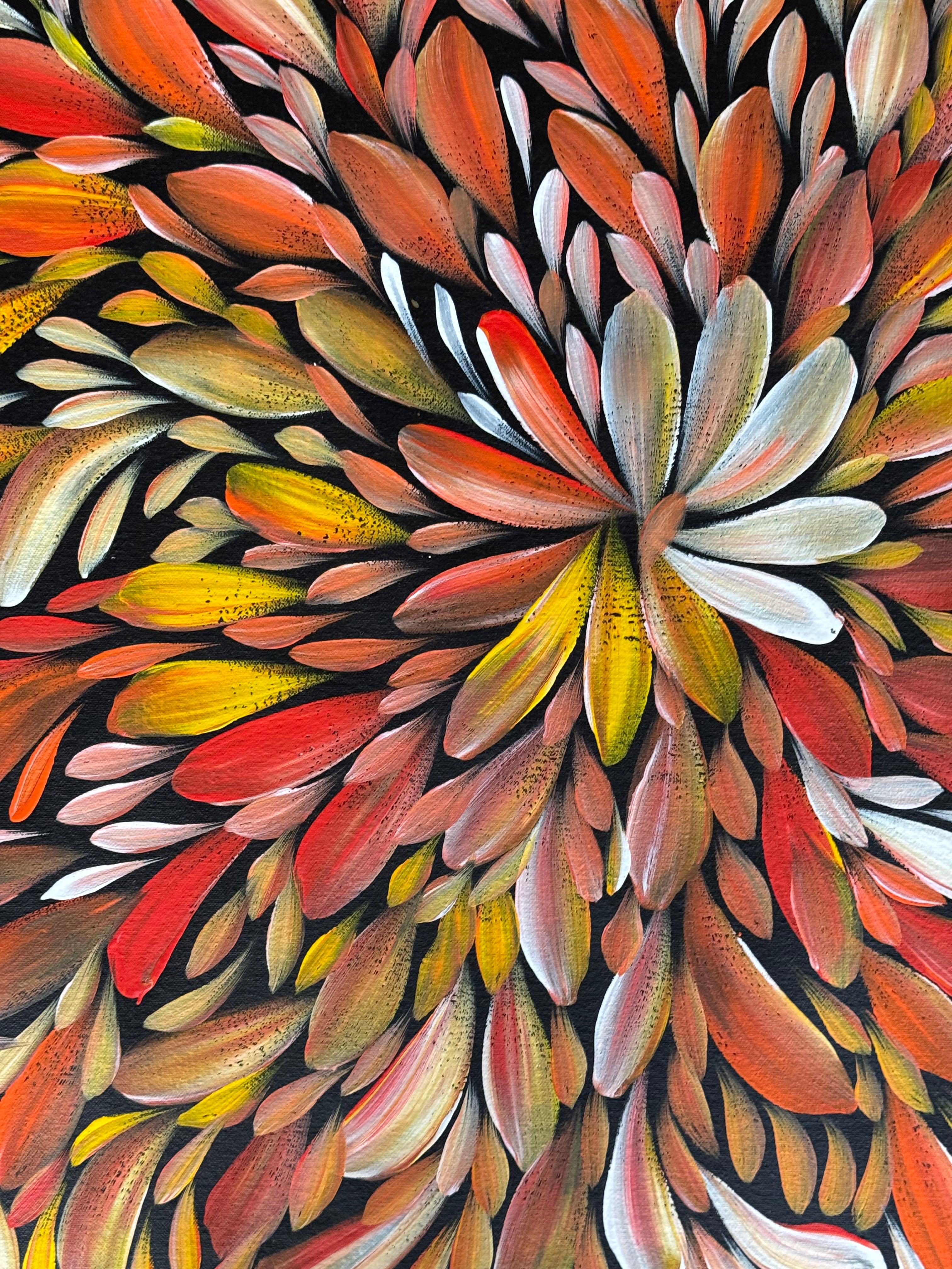 Louise Numina Napananka - Bush Medicine Leaves .16-57