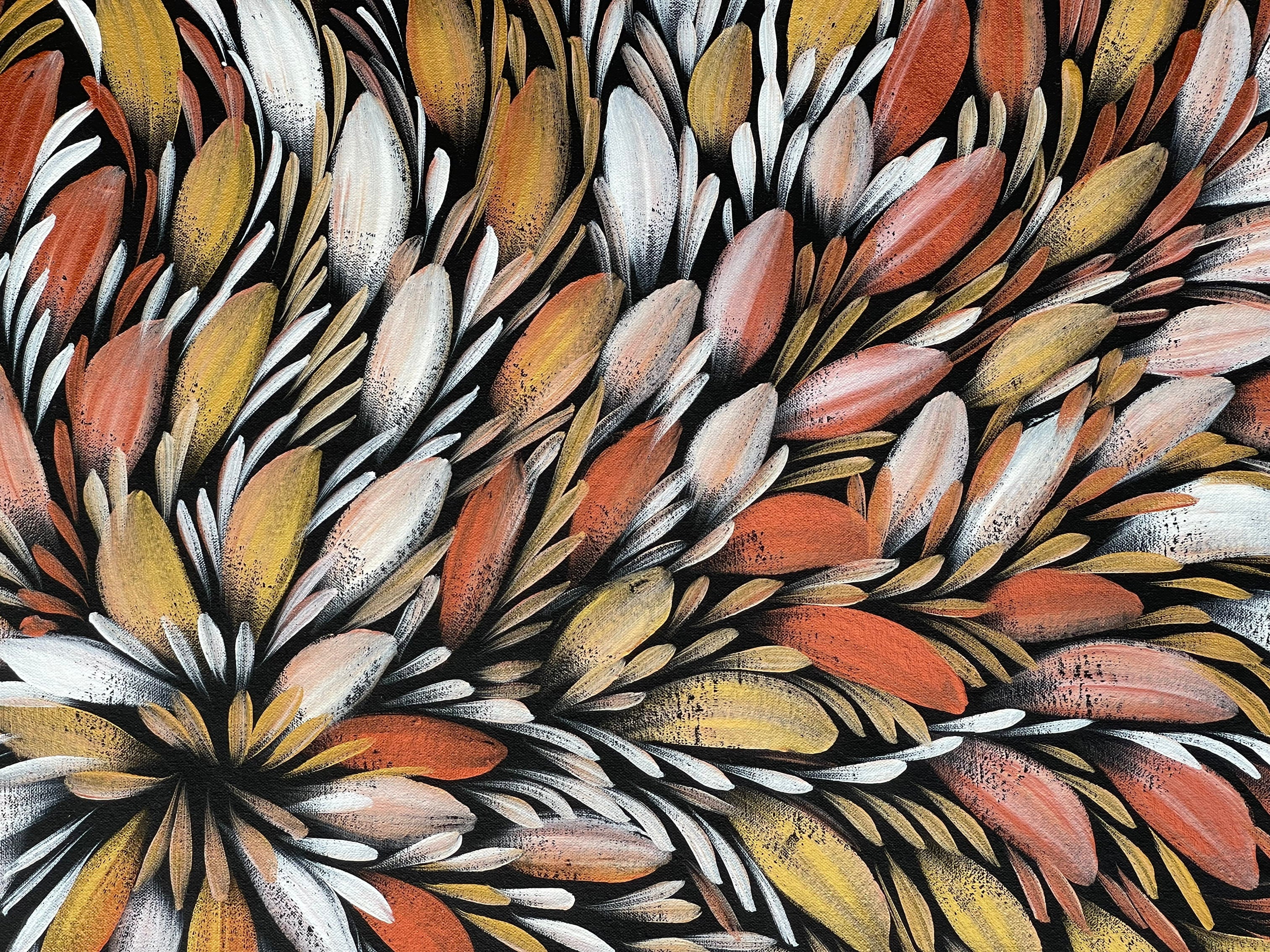 Selina Numina Kamprina - Bush Medicine Leaves .84-11