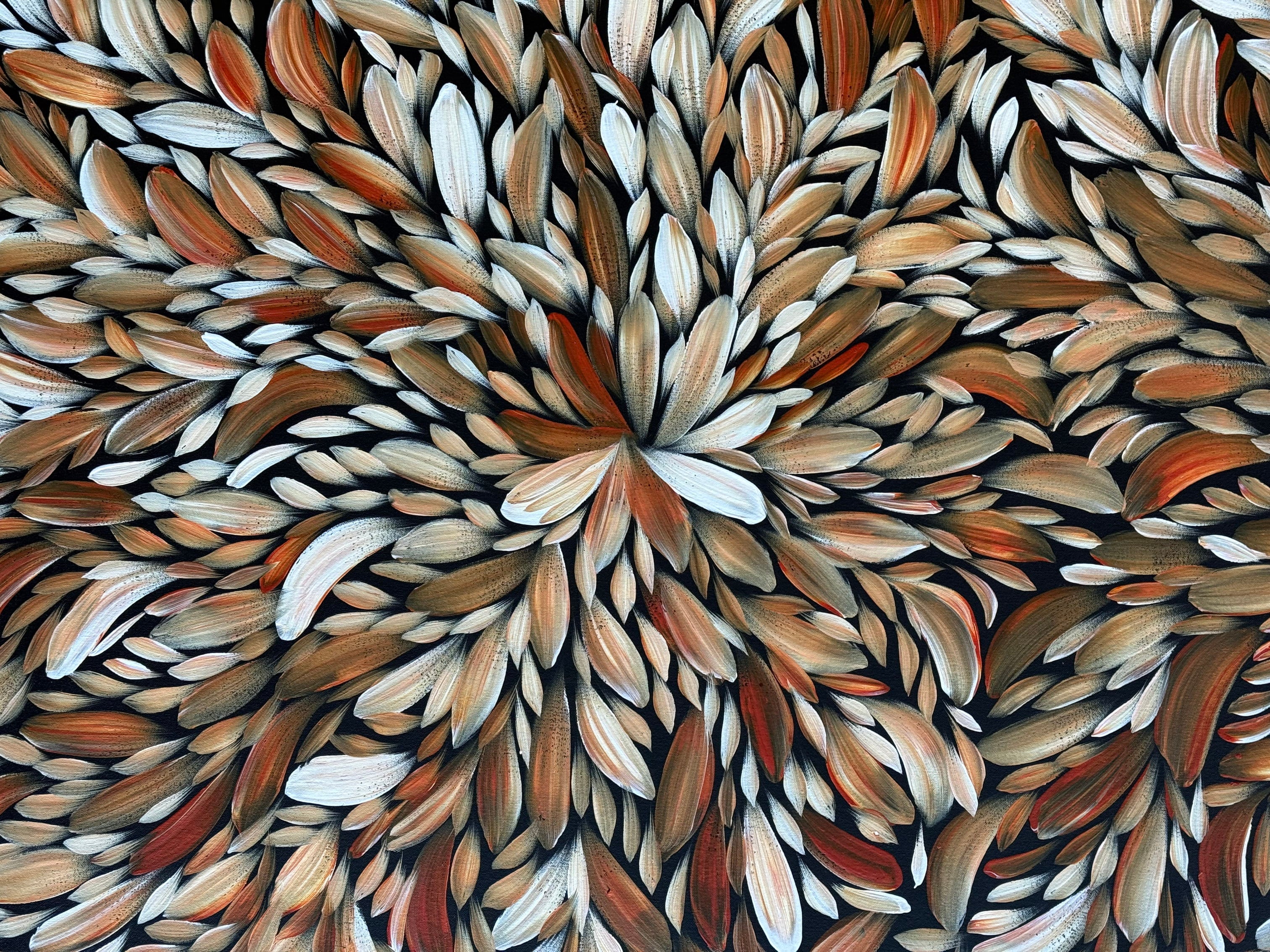 Louise Numina Napananka - Bush Medicine Leaves .41-18