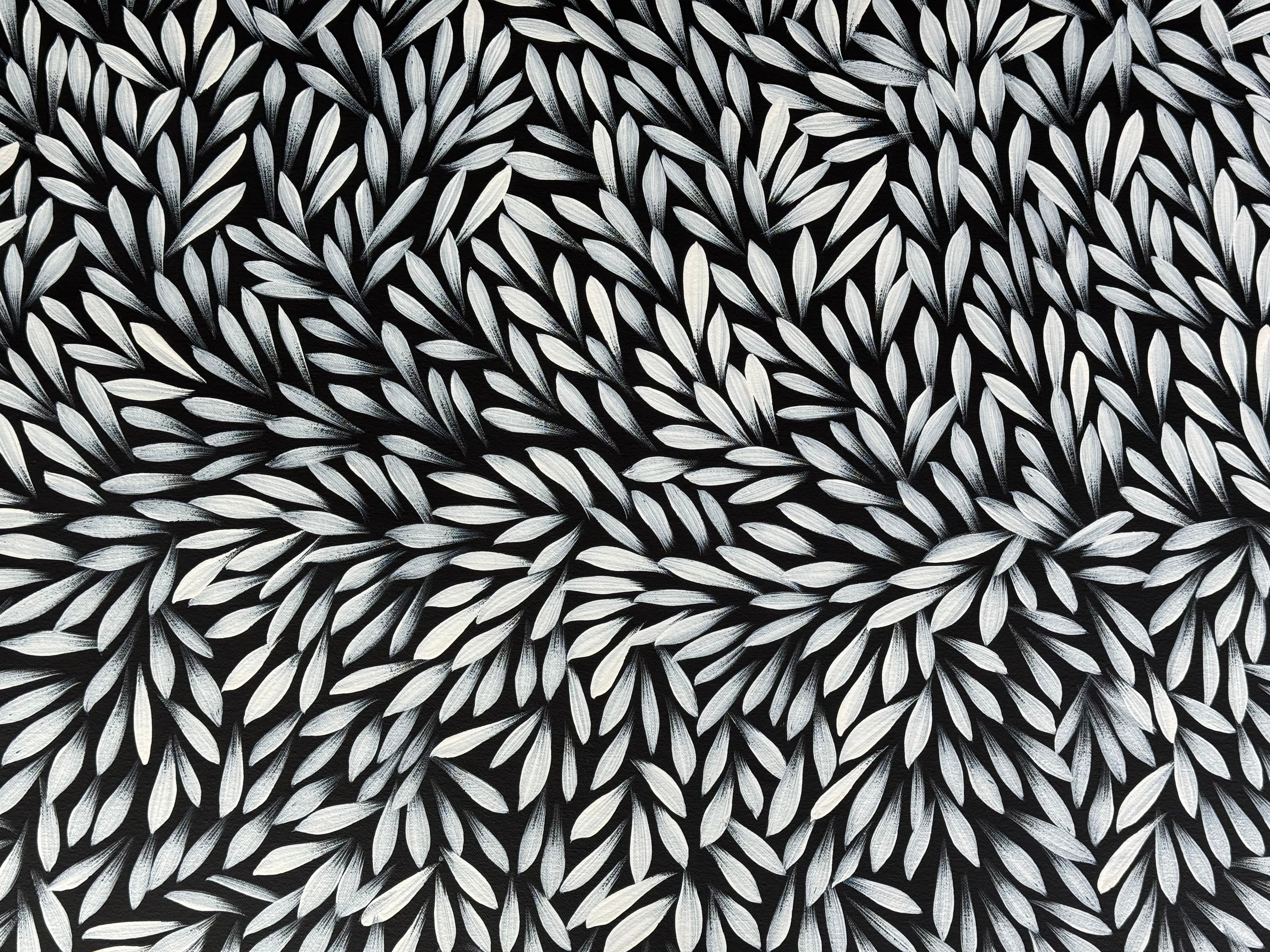 Sharon Numina - Bush Medicine Leaves .50-8