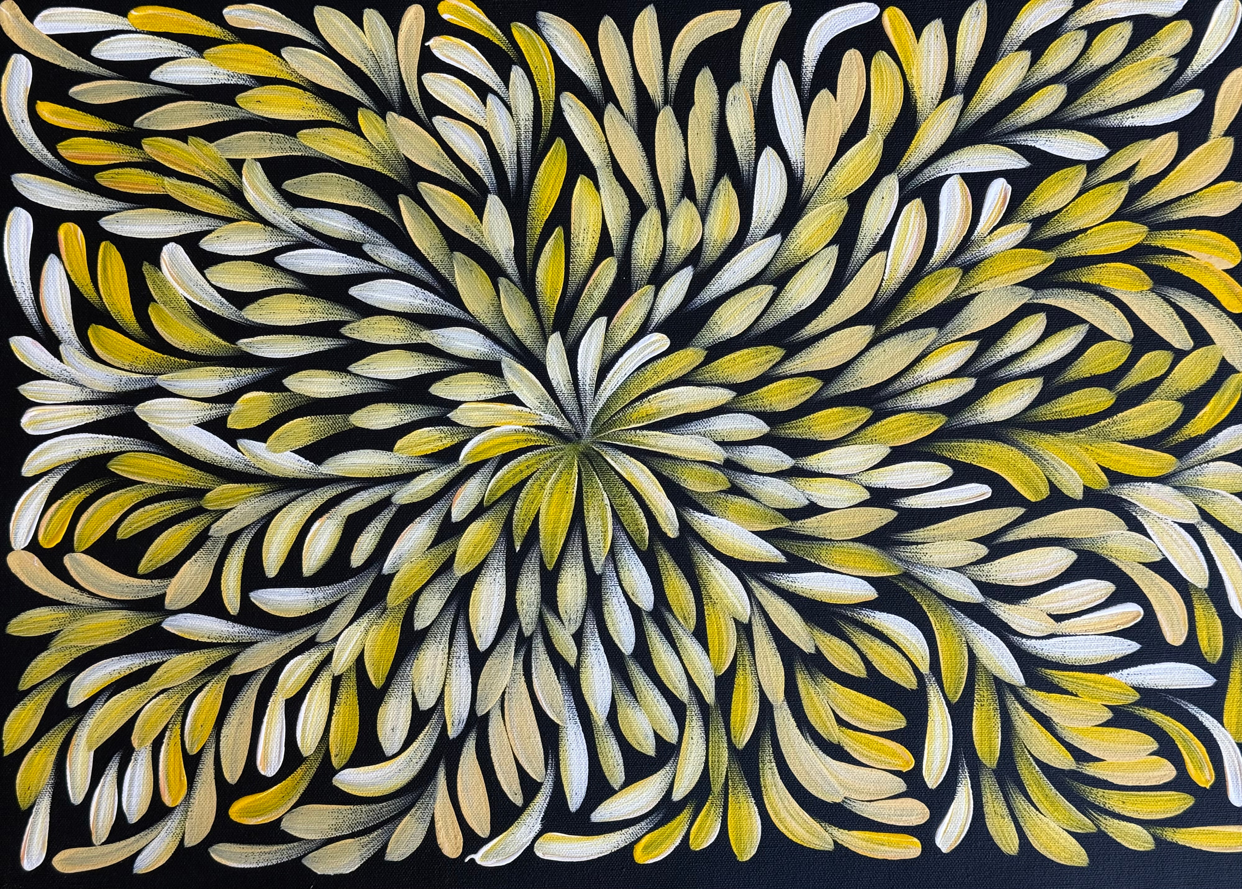 Louise Numina Napananka - Bush Medicine Leaves .60-11