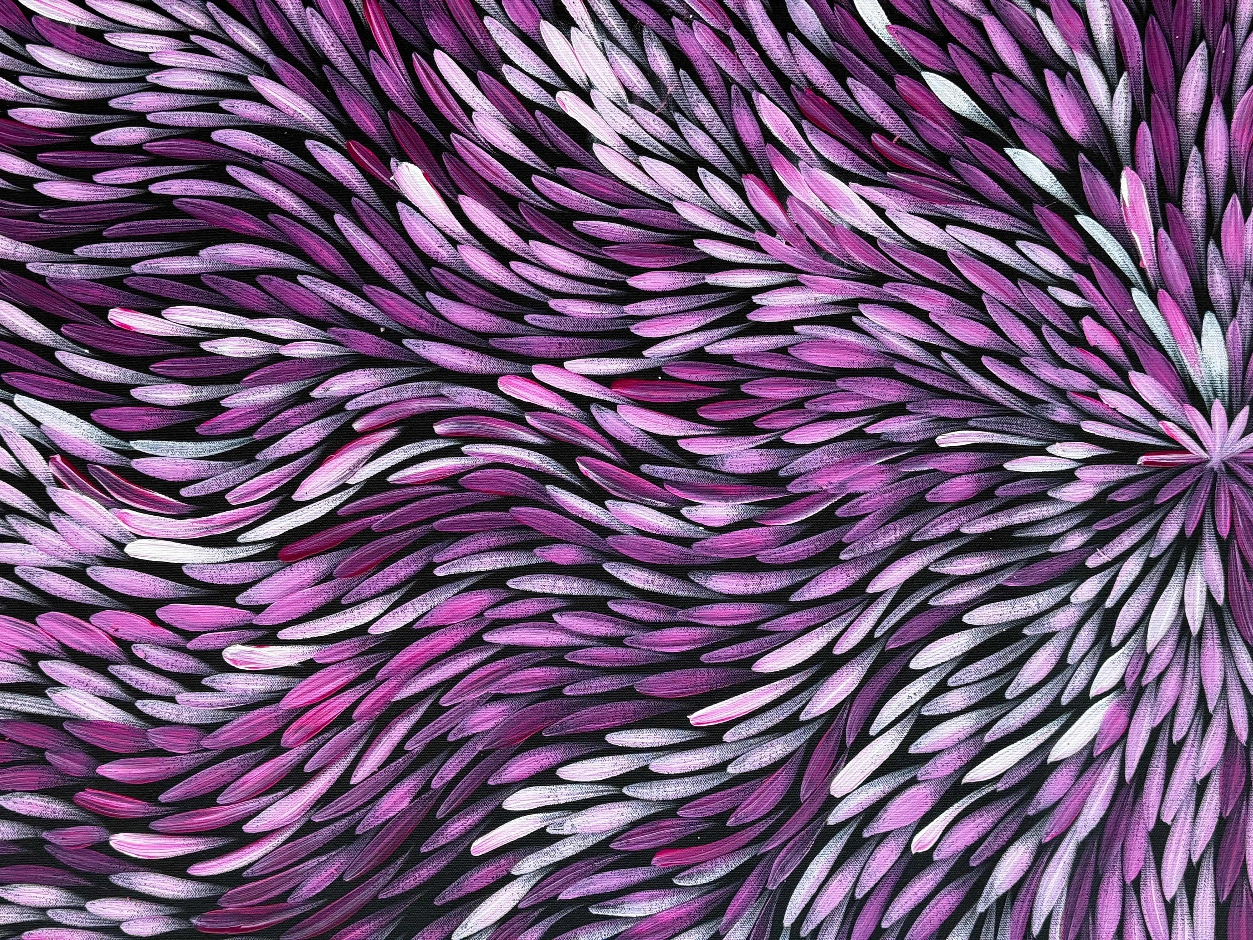 Sharon Numina - Bush Medicine Leaves .95-5