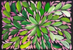 Louise Numina Napananka - Bush Medicine Leaves  .22-4
