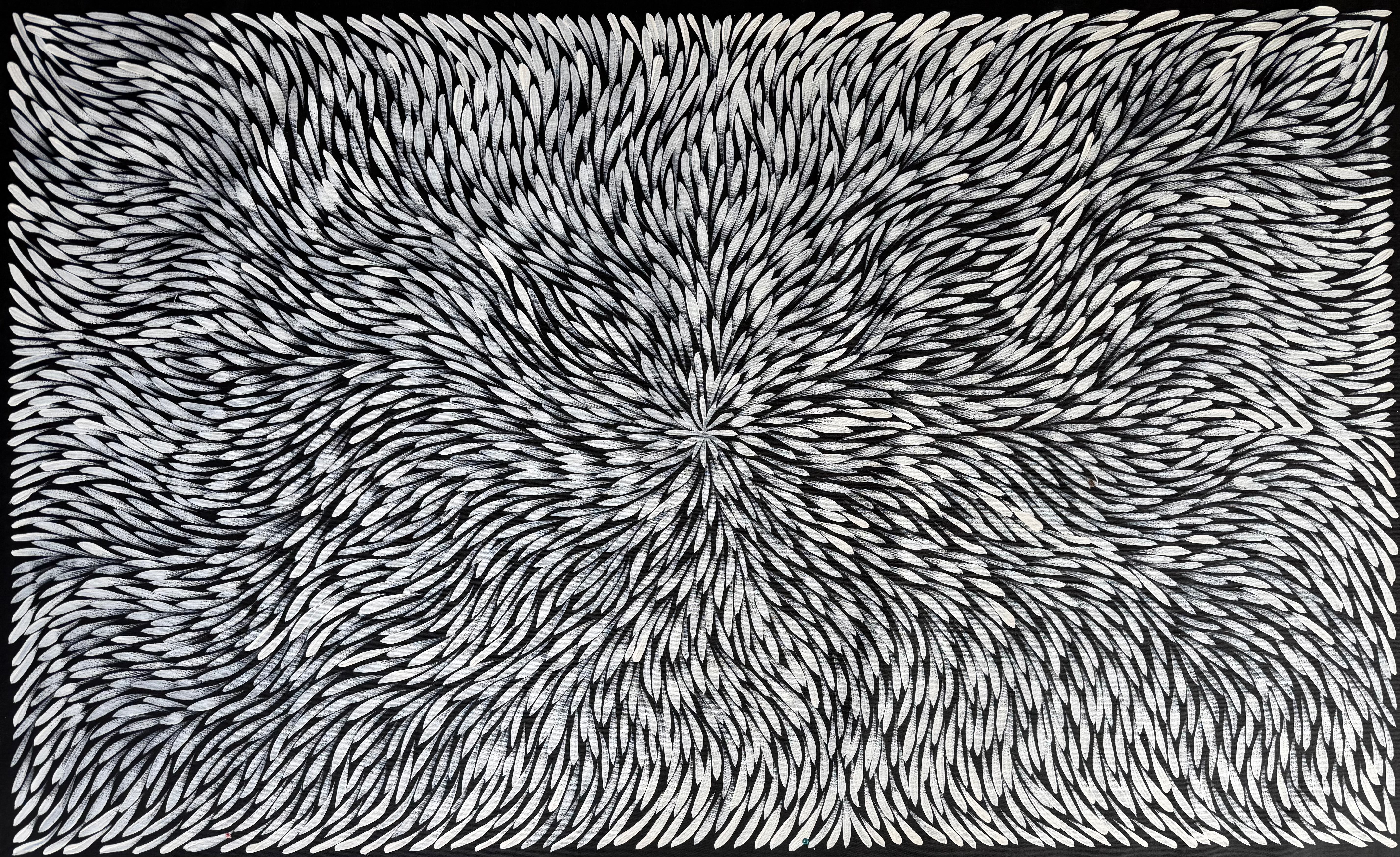 Sharon Numina - Bush Medicine Leaves .95-8