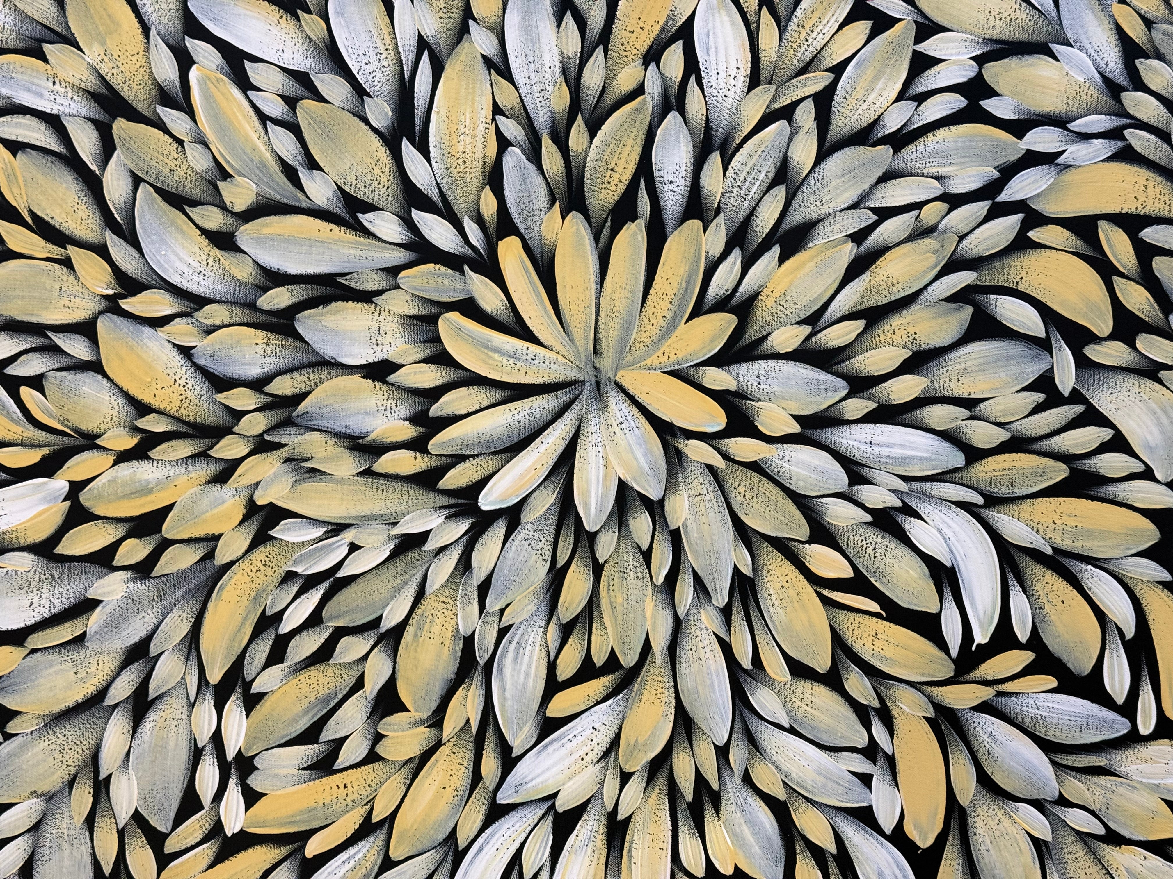 Louise Numina Napananka - Bush Medicine Leaves .21-8
