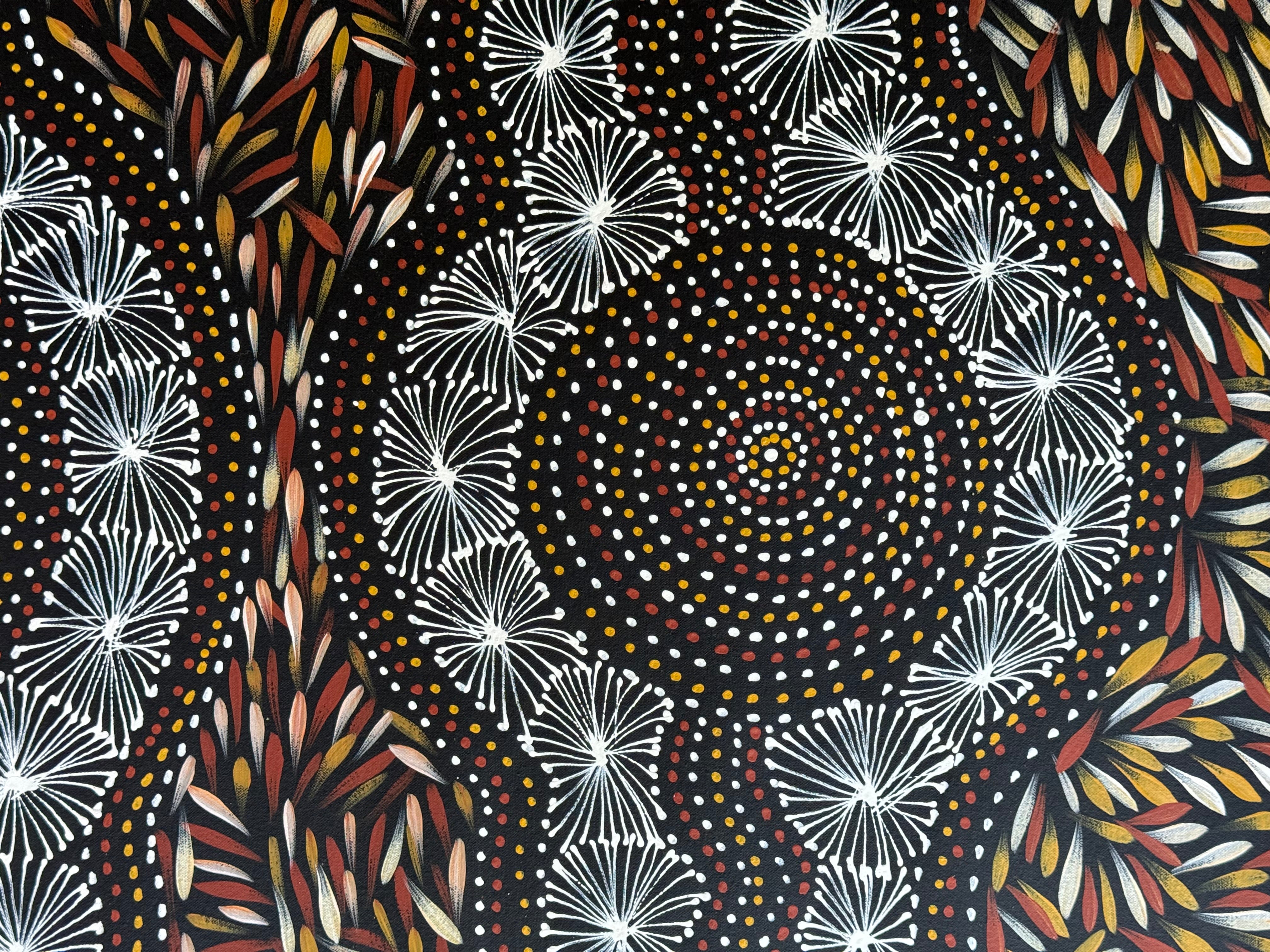 Selina Numina Kamprina - Seeds and Waterholes .92-11