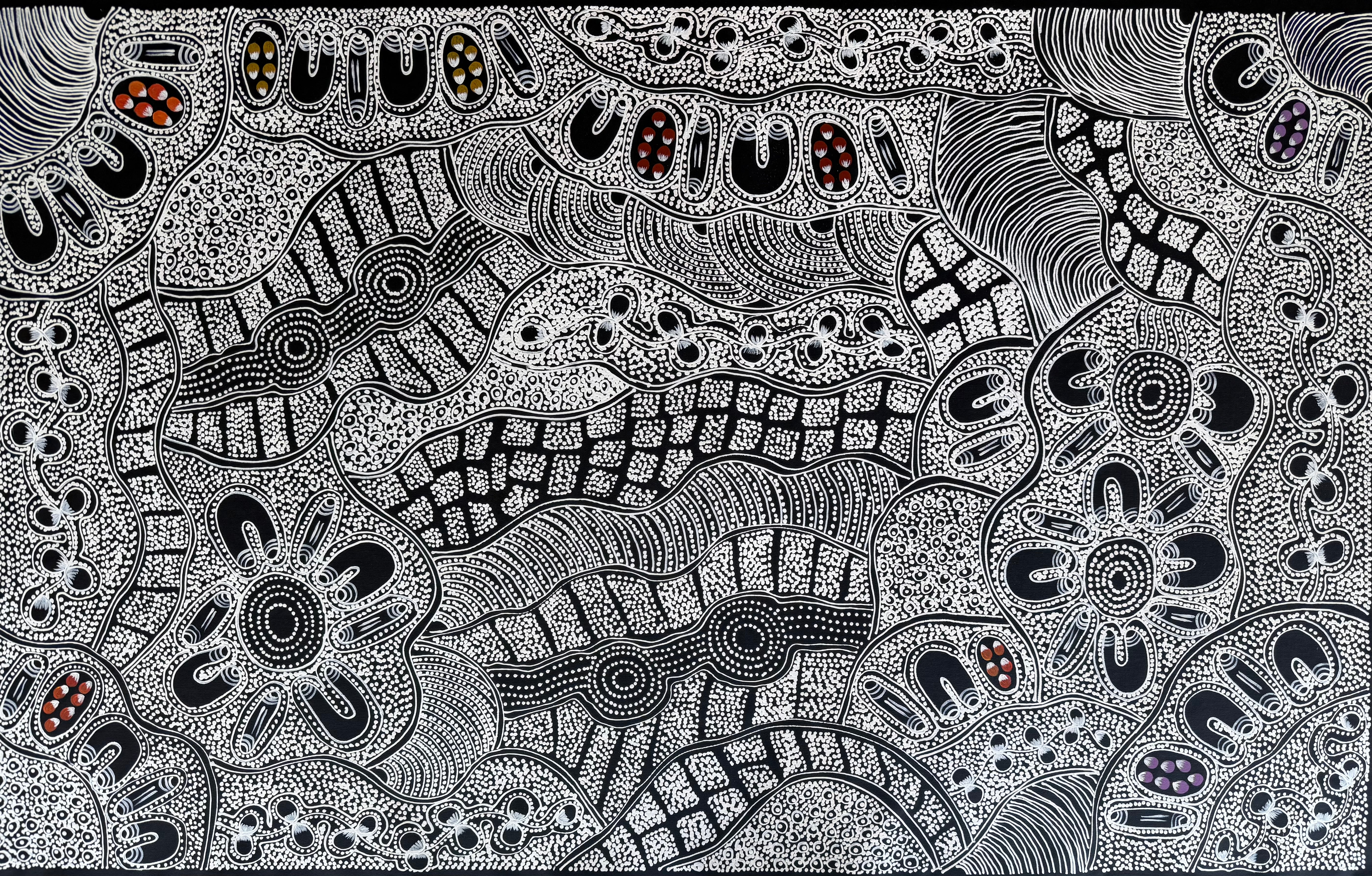 Lanita Numina - Women Collect Bushplums, Bushberries .97-4