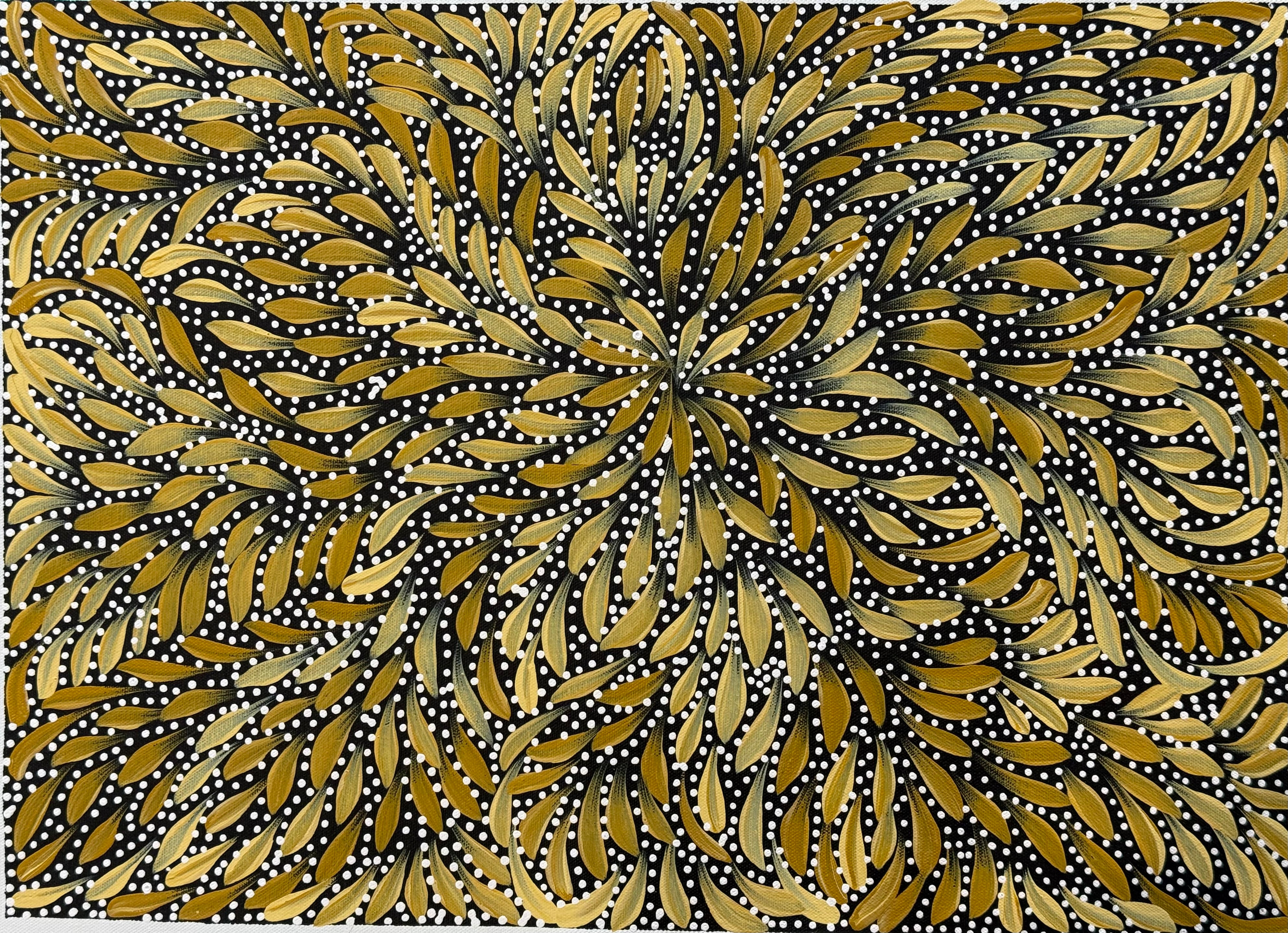 Caroline Numina - Bush Medicine Leaves and Seeds .04-22