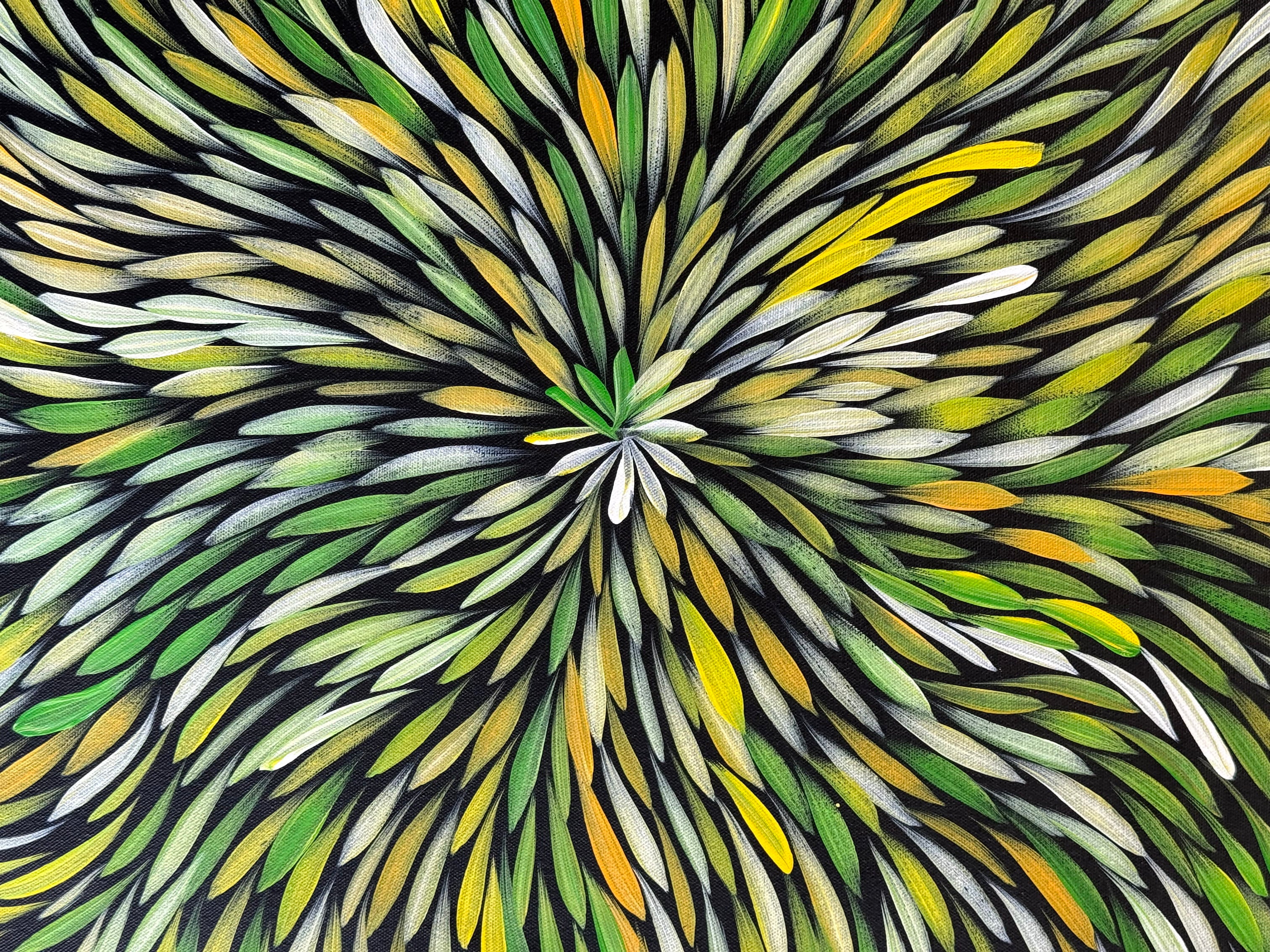 Sharon Numina - Bush Medicine Leaves - 67x89cm .14-26
