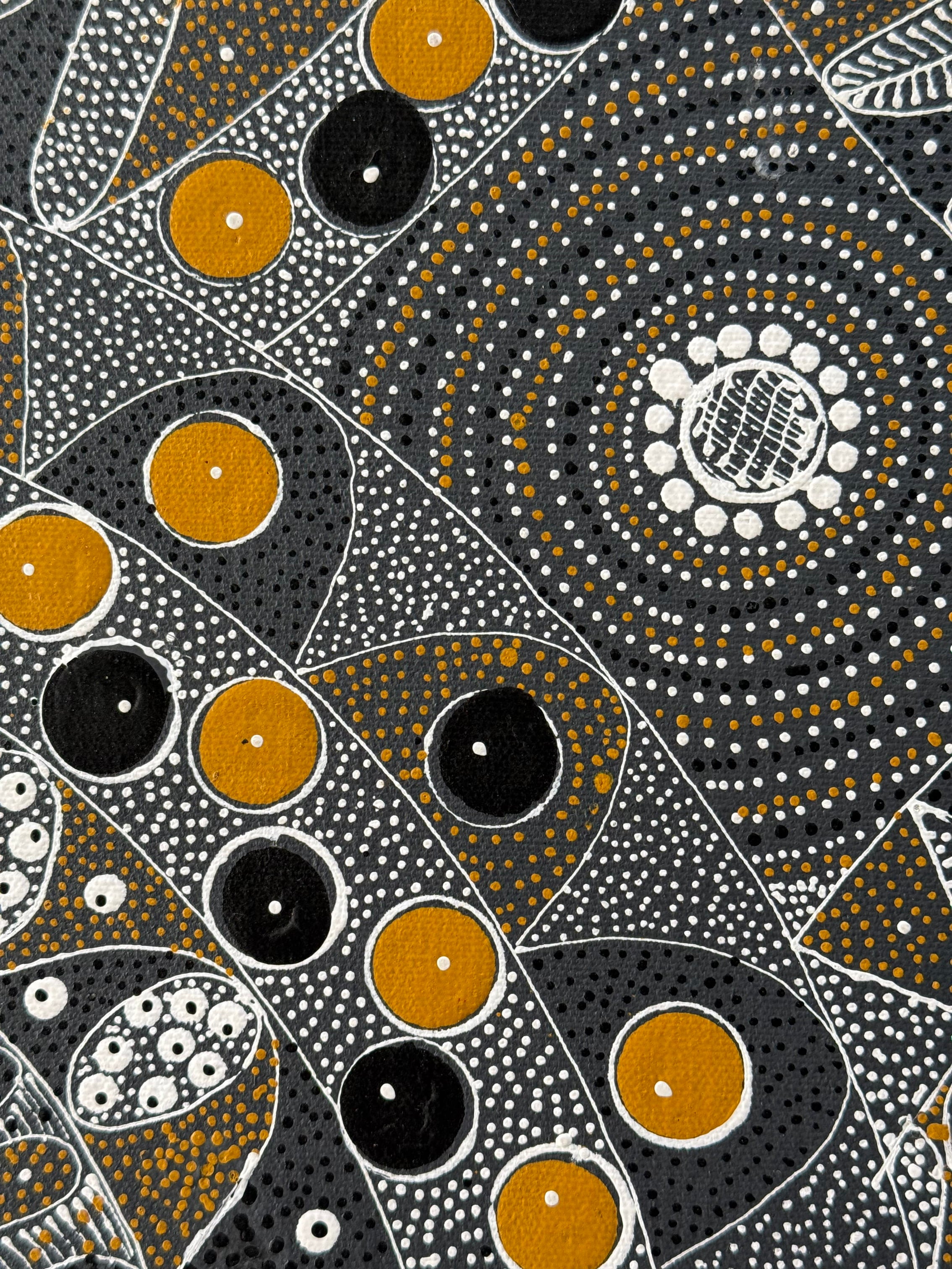 Alvira Bird - Awelye for Alpar, Ahakeye and Akatyerre - 30x30cm .48-15