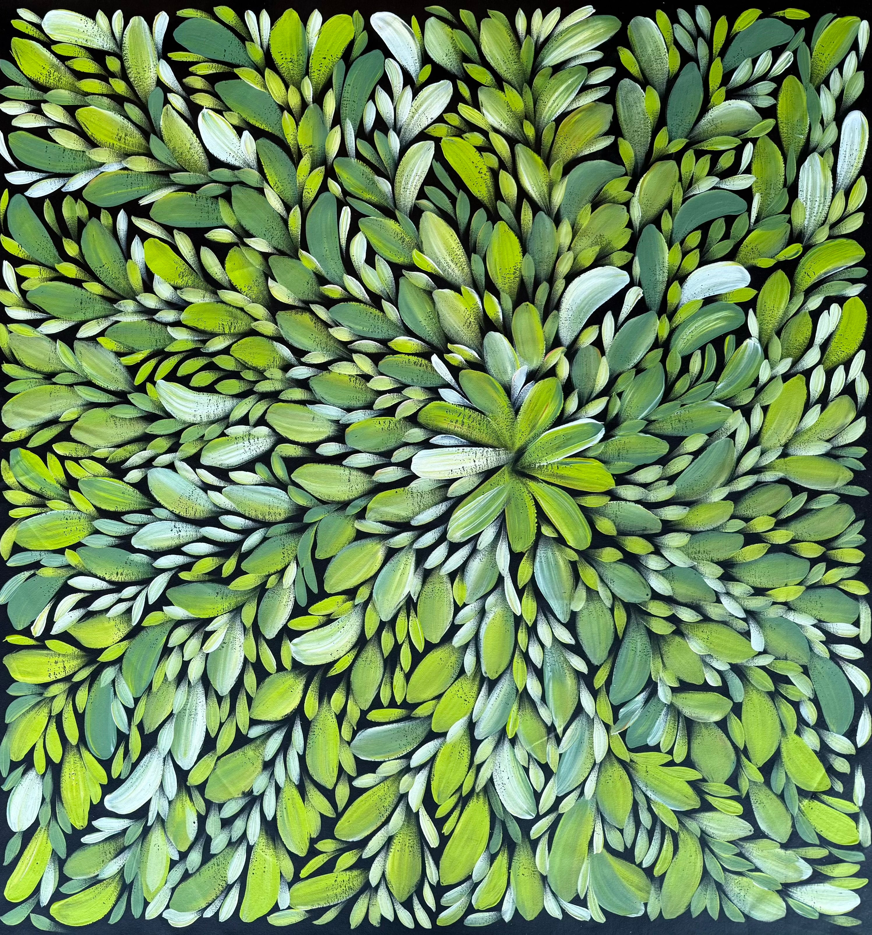 Louise Numina Napananka - Bush Medicine Leaves .49-8