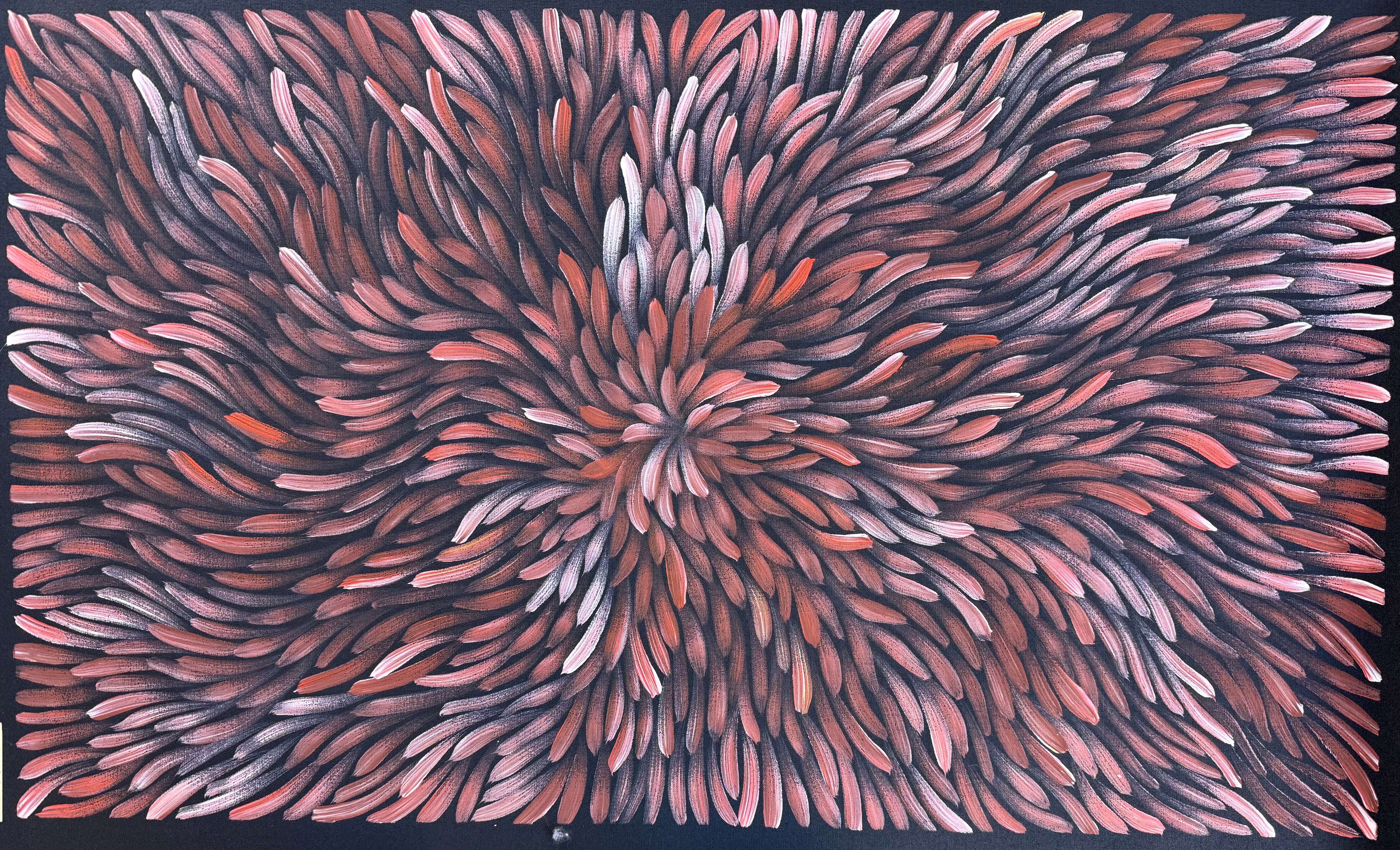 Maryanne Gibson - Bush Medicine .73-3