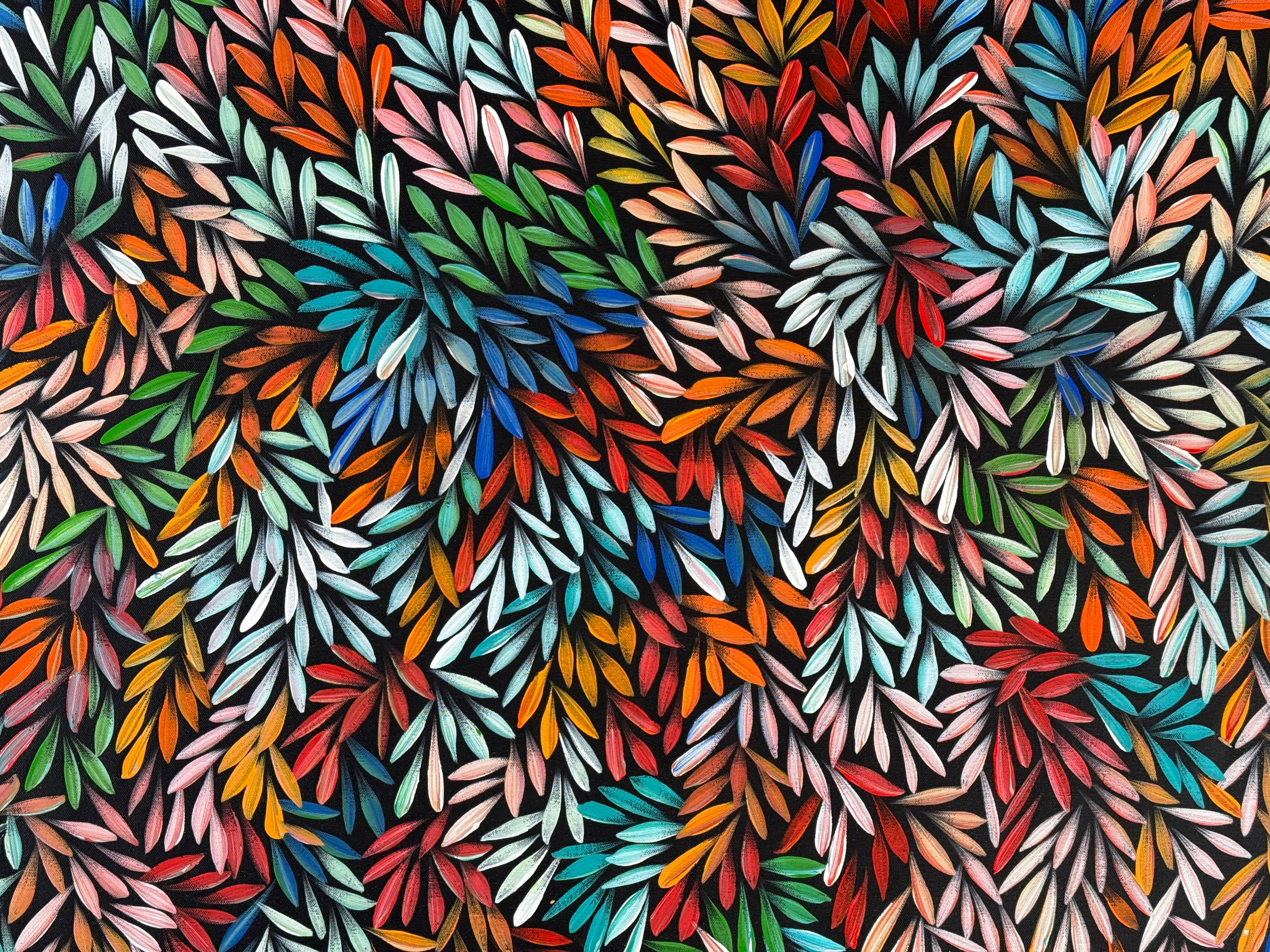 Sharon Numina - Bush Medicine Leaves .40-1